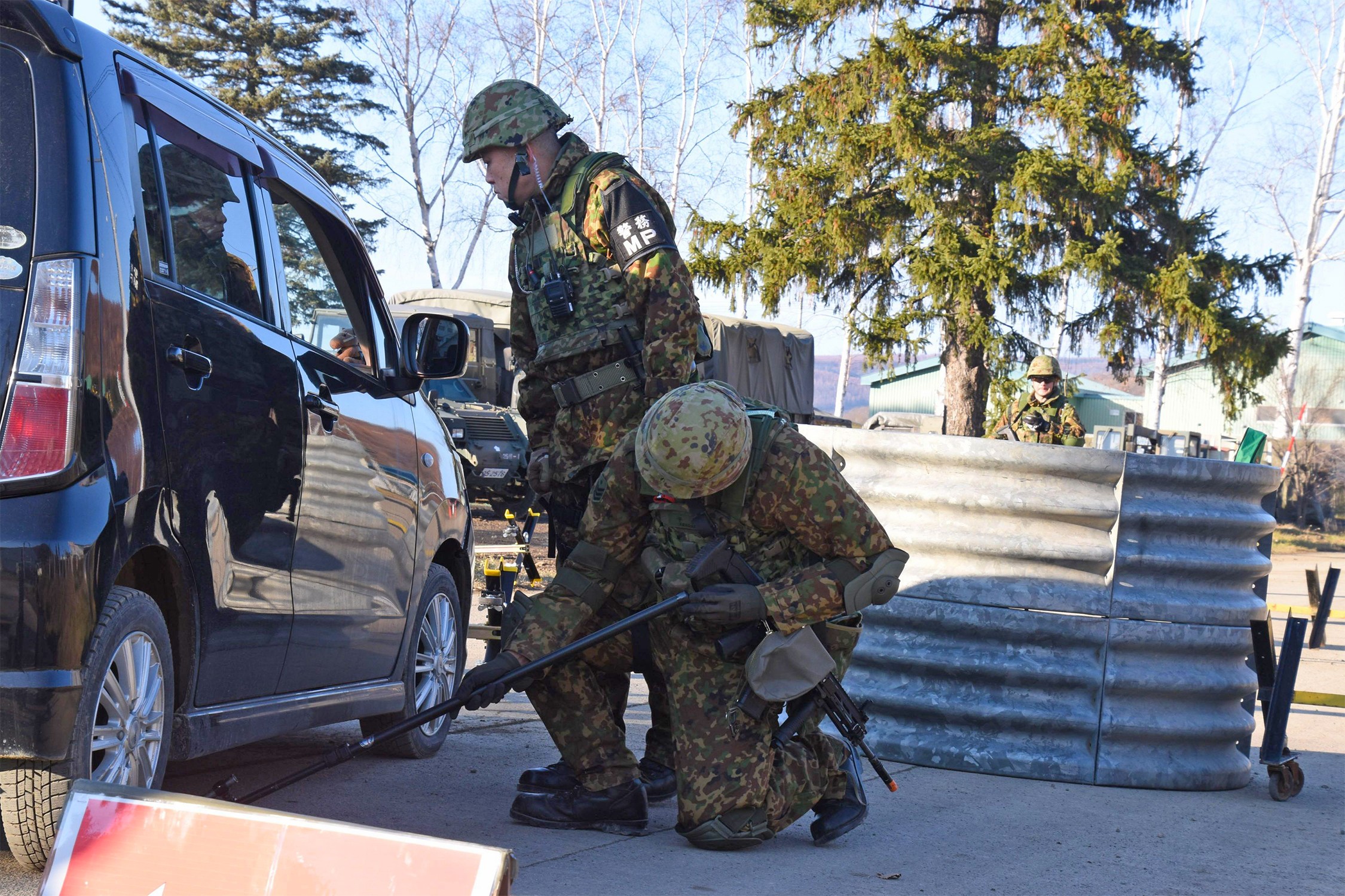 セクション画像