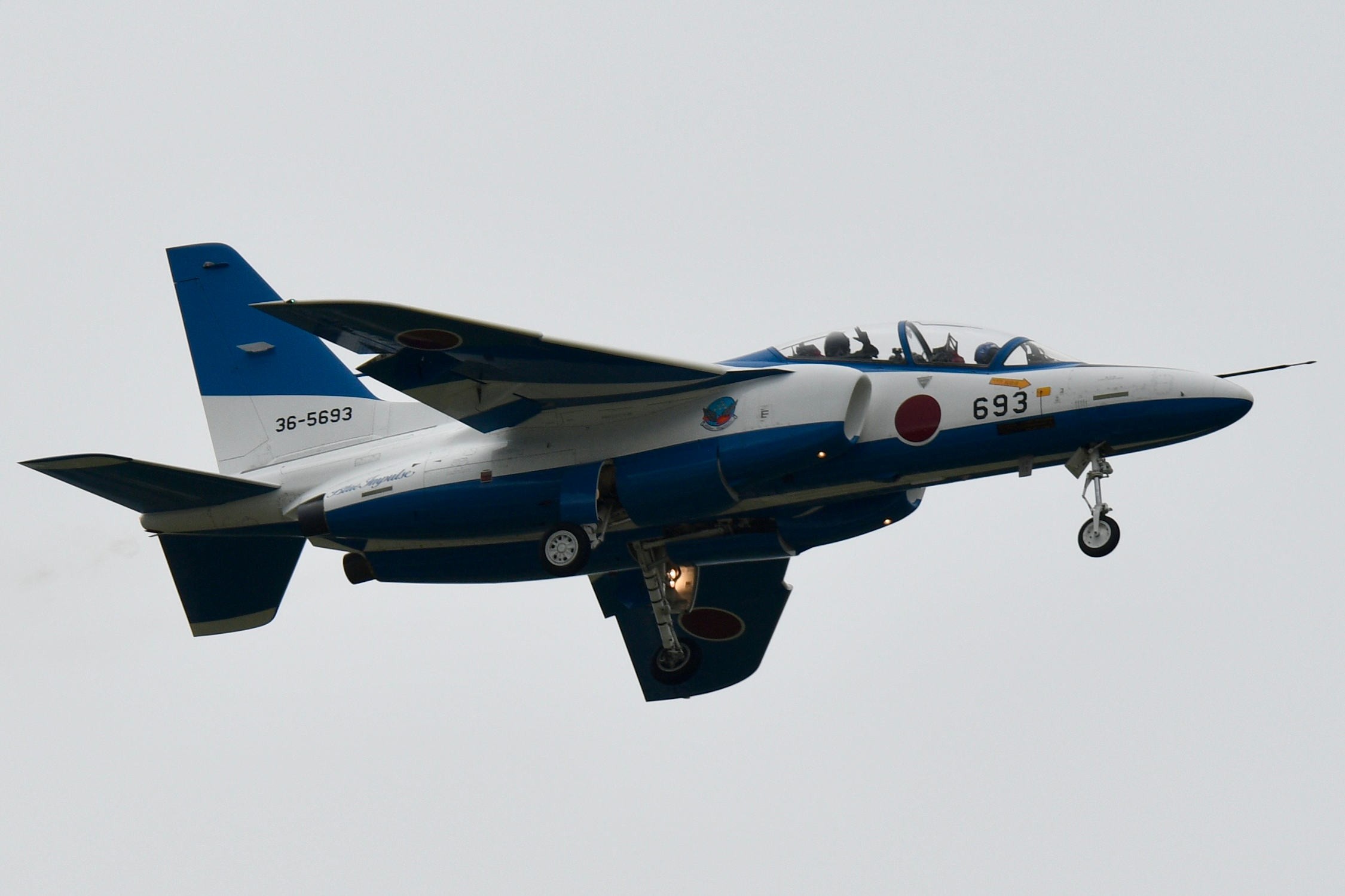 みんなのブルーインパルス 令和7年〈Vol.4〉「本拠地東松島市での夏