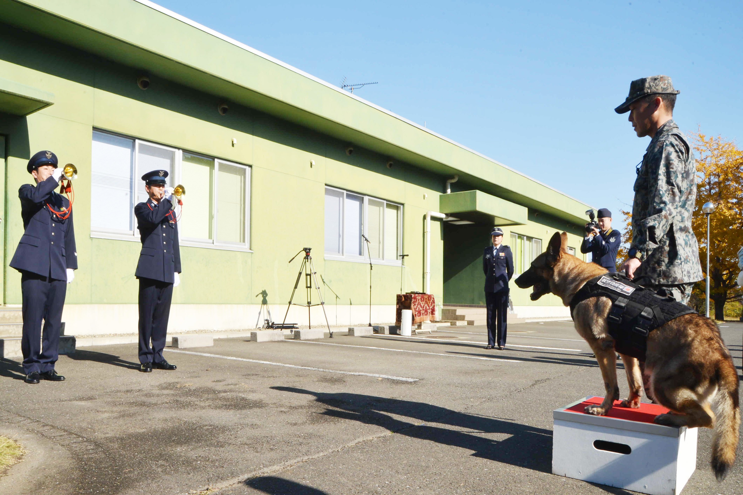 セクション画像