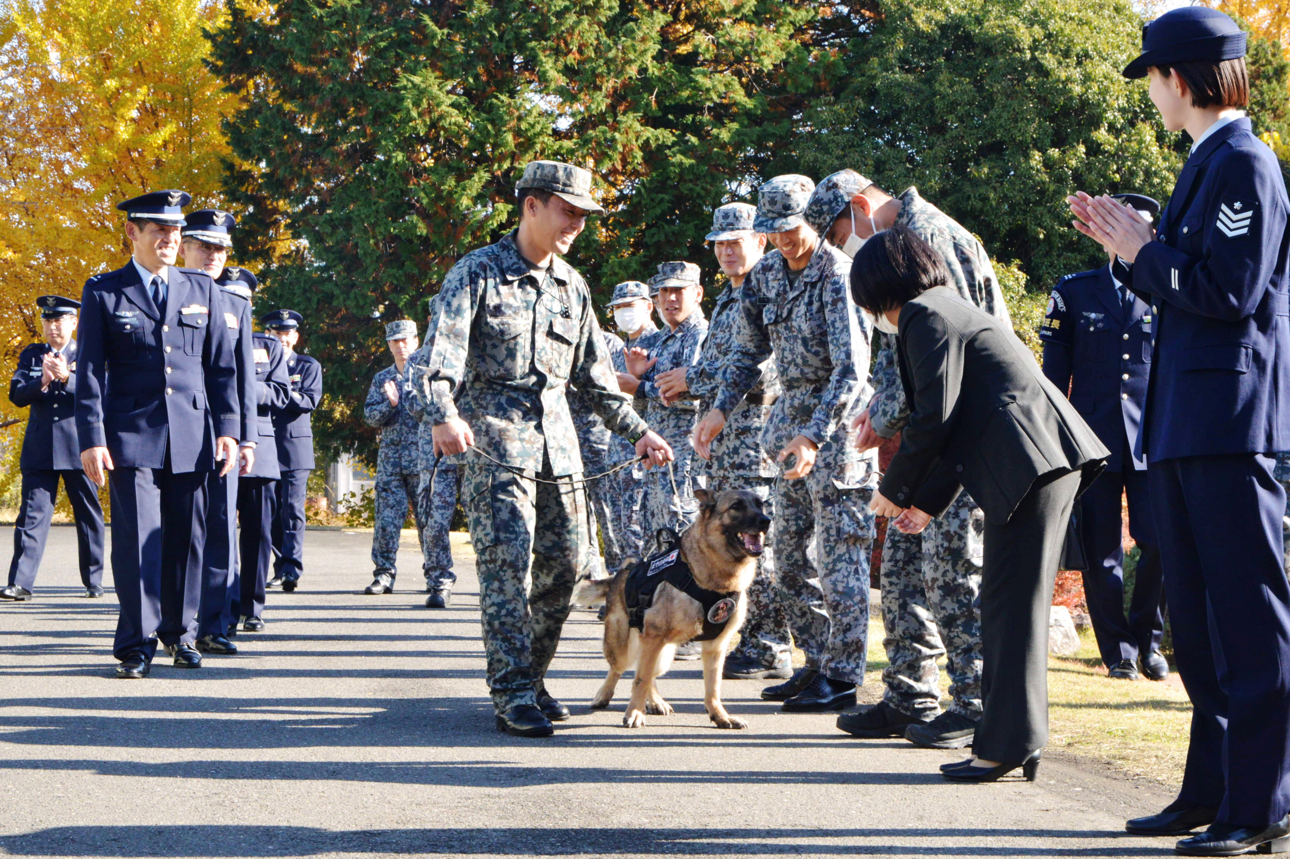 入間基地で警備犬ヨモギ号が除隊式　“バディ”に贈る感謝｜航空自衛隊