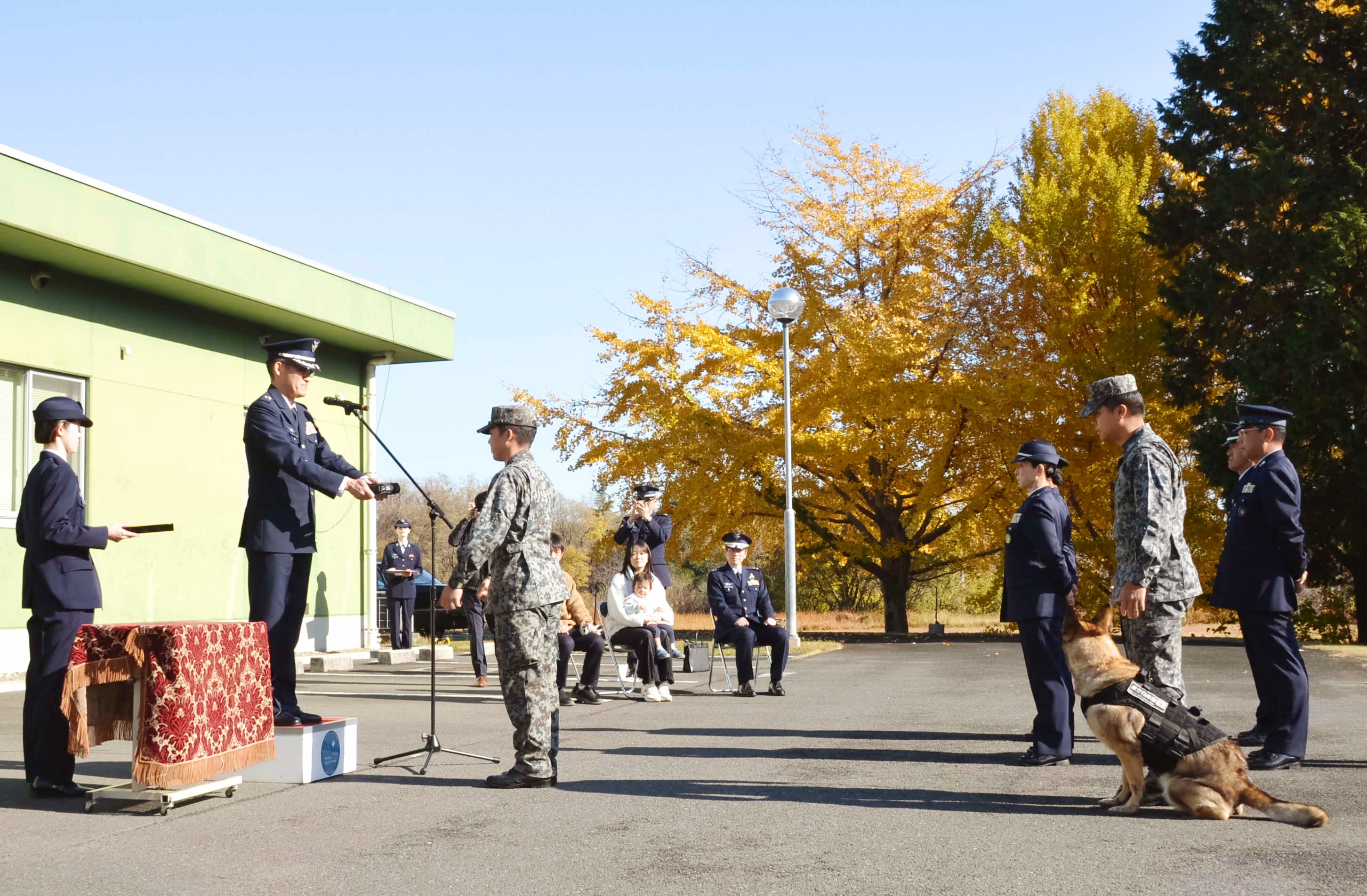 セクション画像