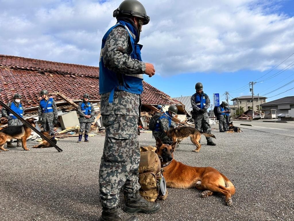 セクション画像