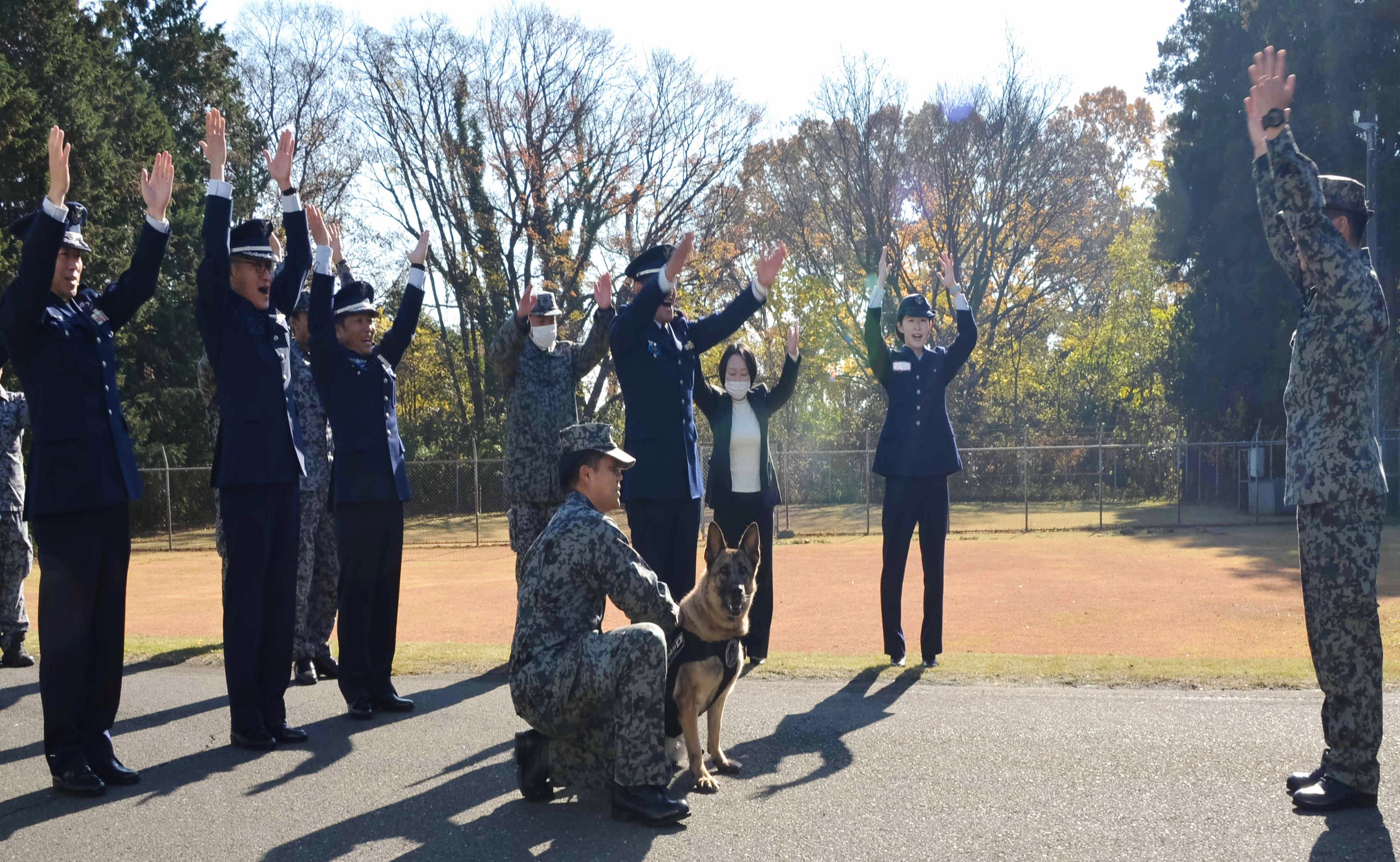セクション画像