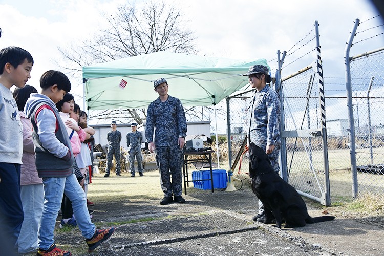 セクション画像