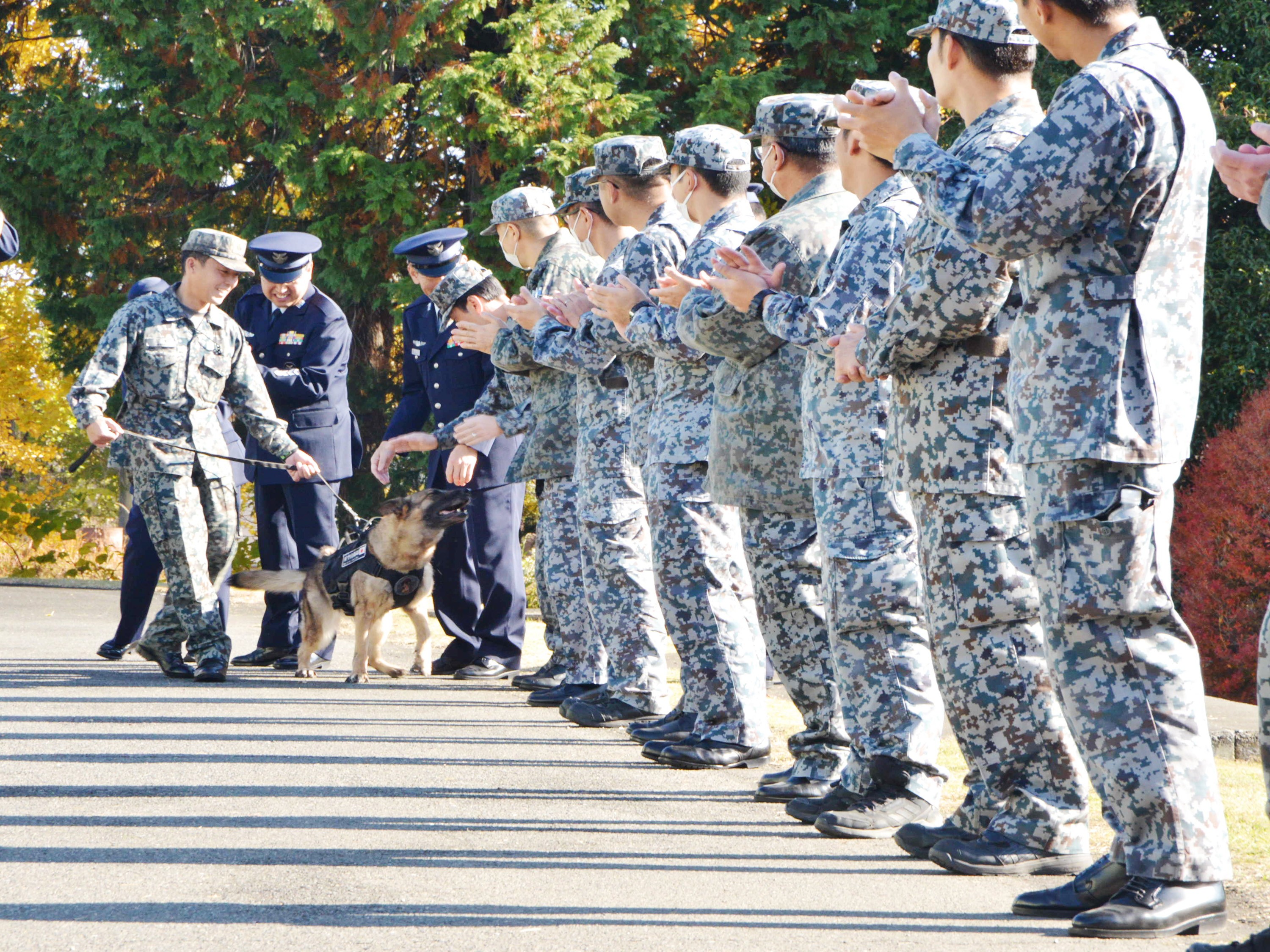 セクション画像
