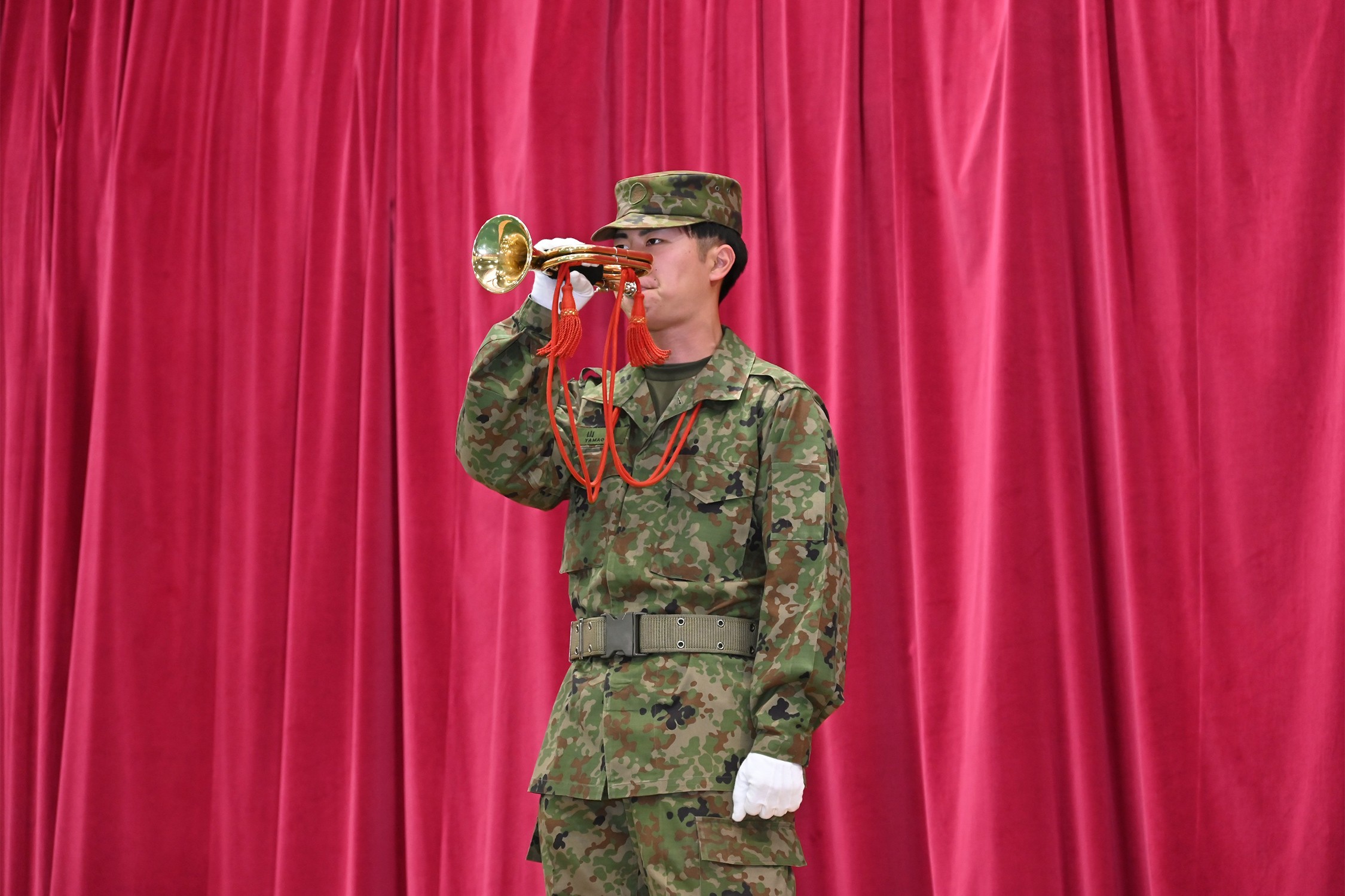 セクション画像