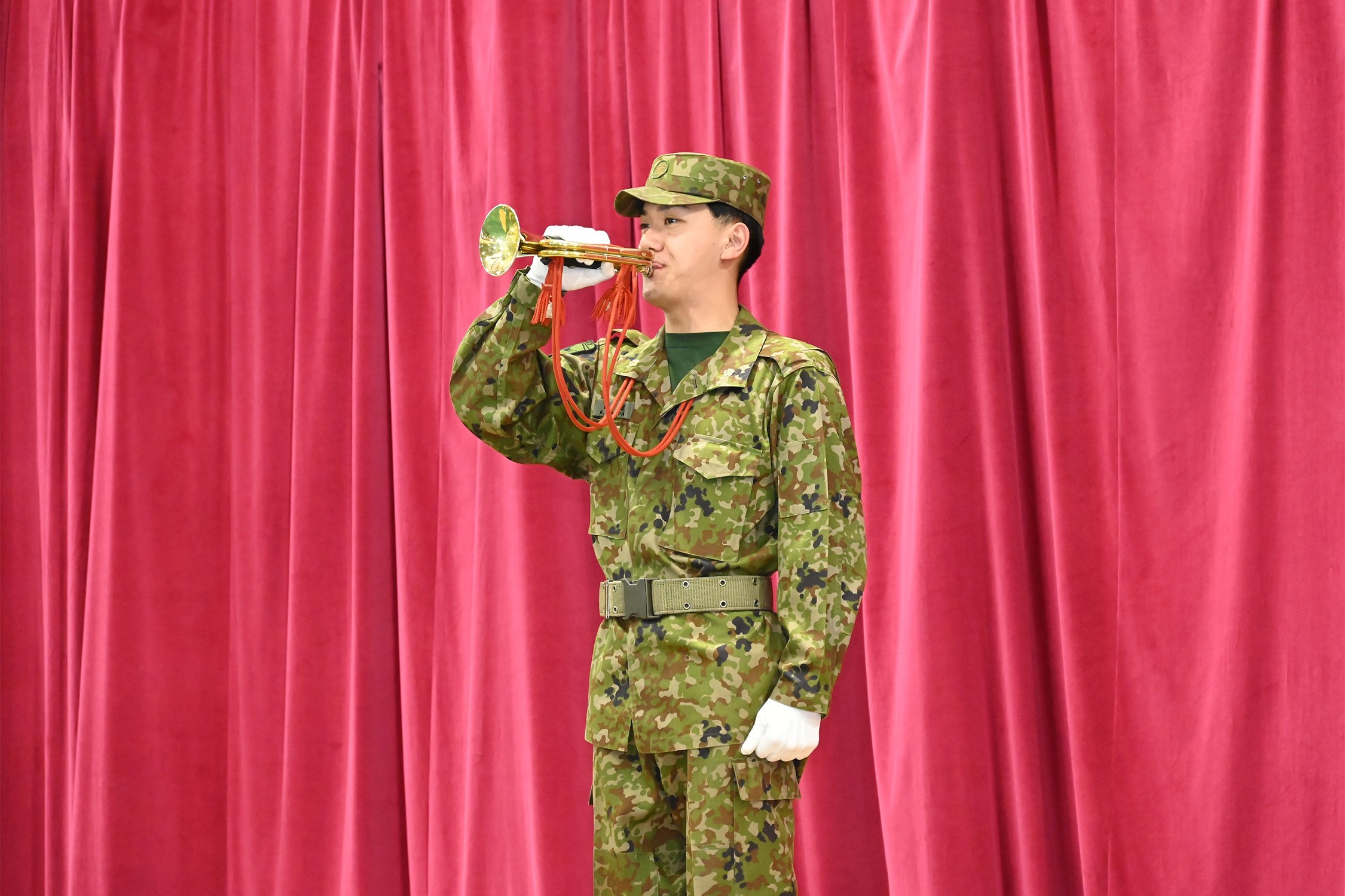 セクション画像