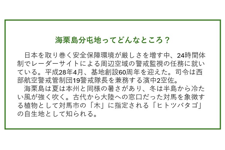 セクション画像