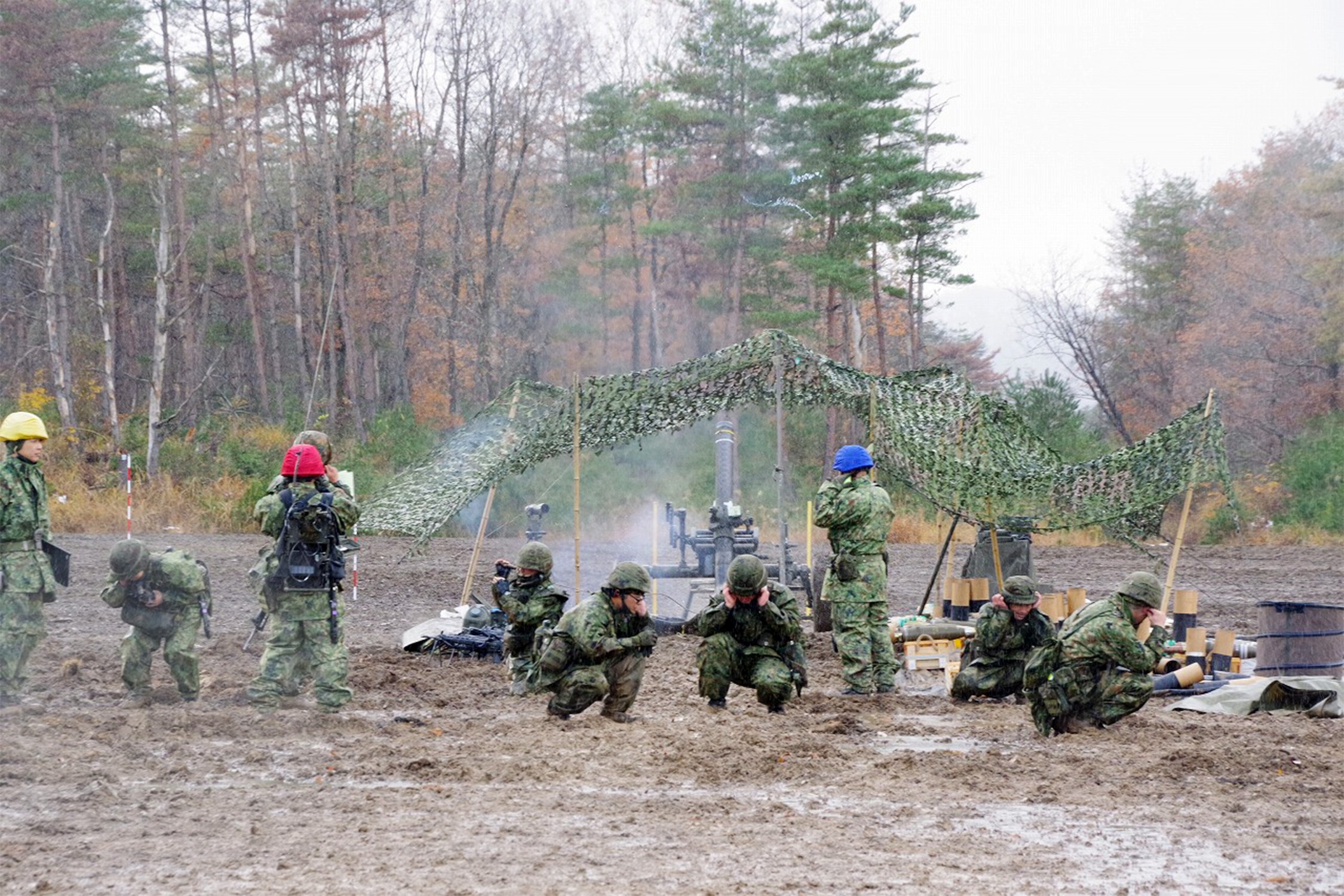 セクション画像