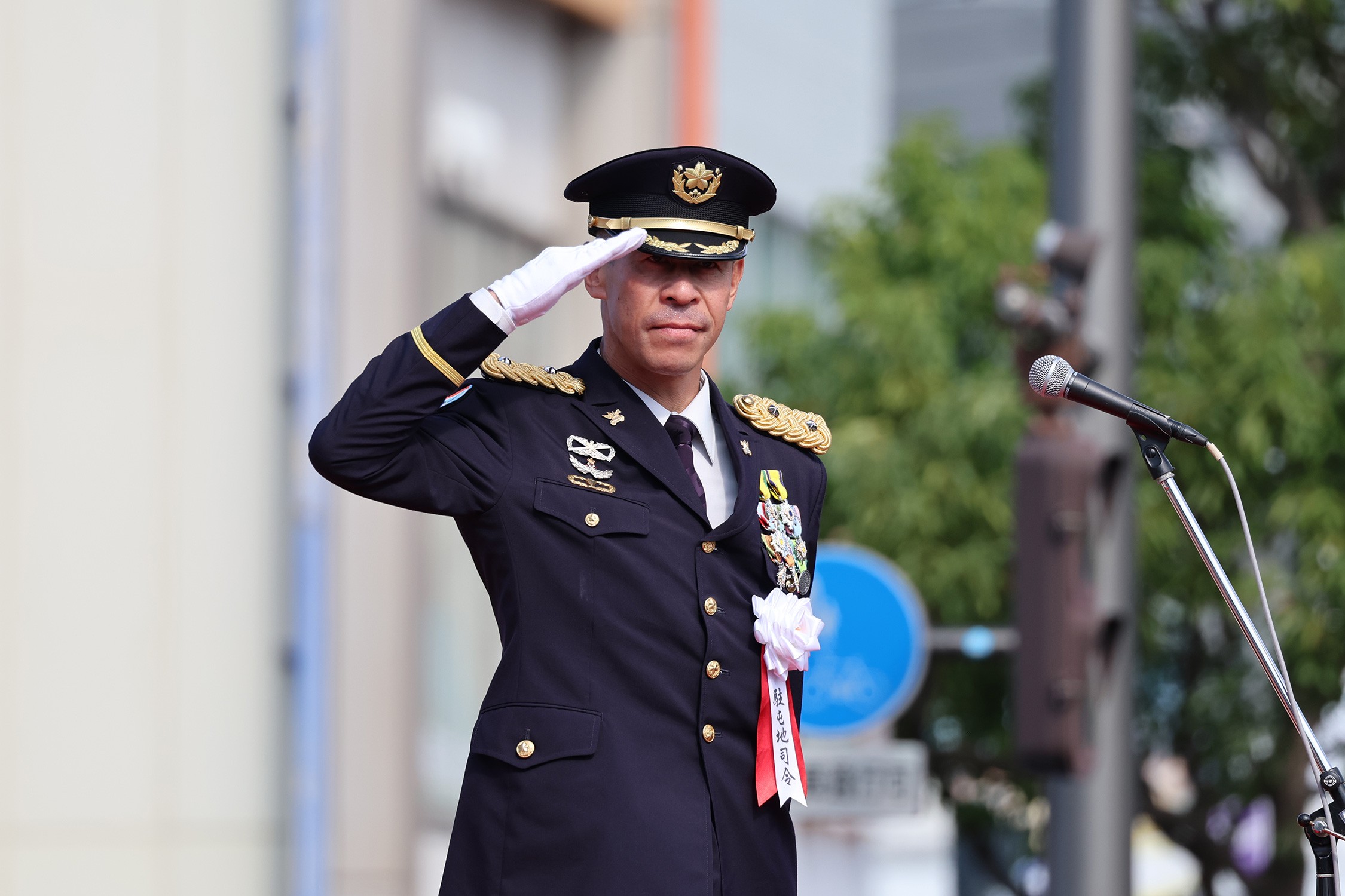 セクション画像