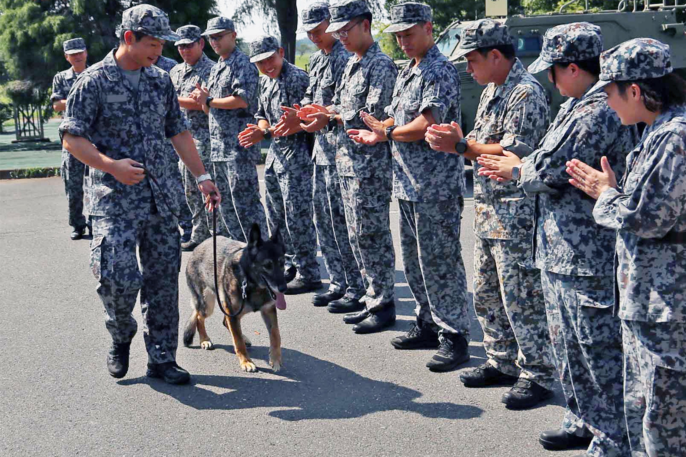 任務を終え新たな旅立ちへ 8年間基地守った警備犬「アンコ号」退役｜百里基地