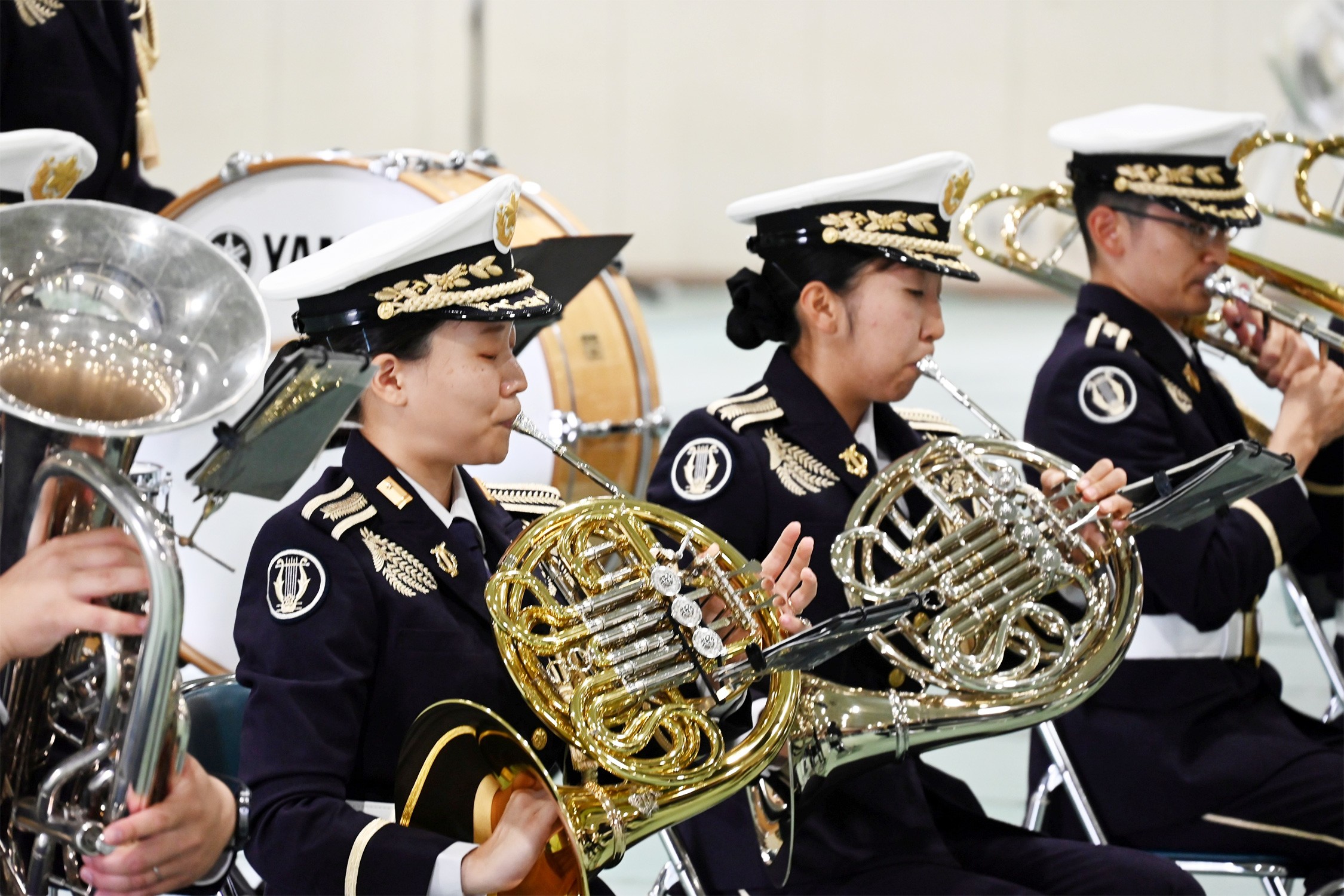 セクション画像