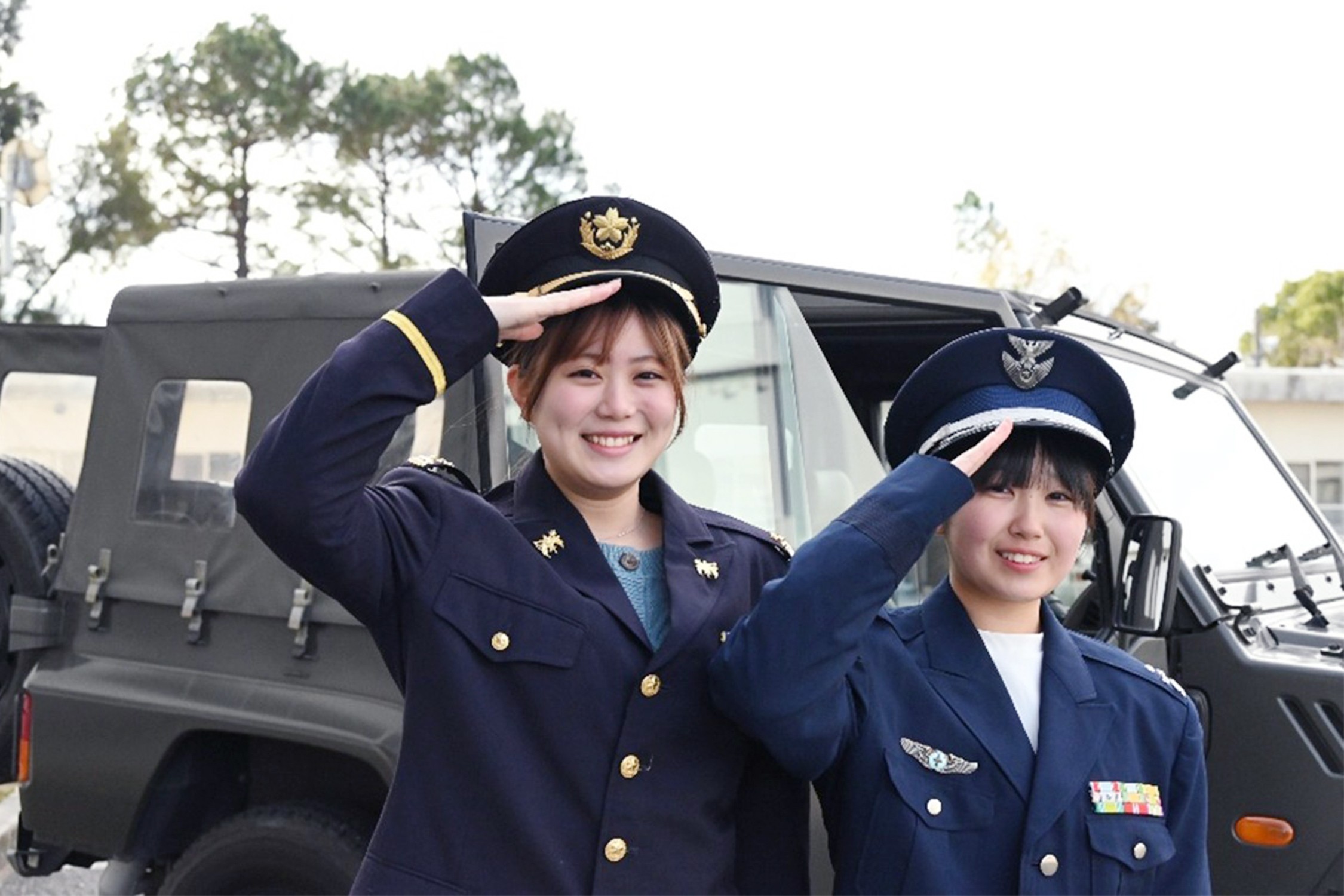 セクション画像