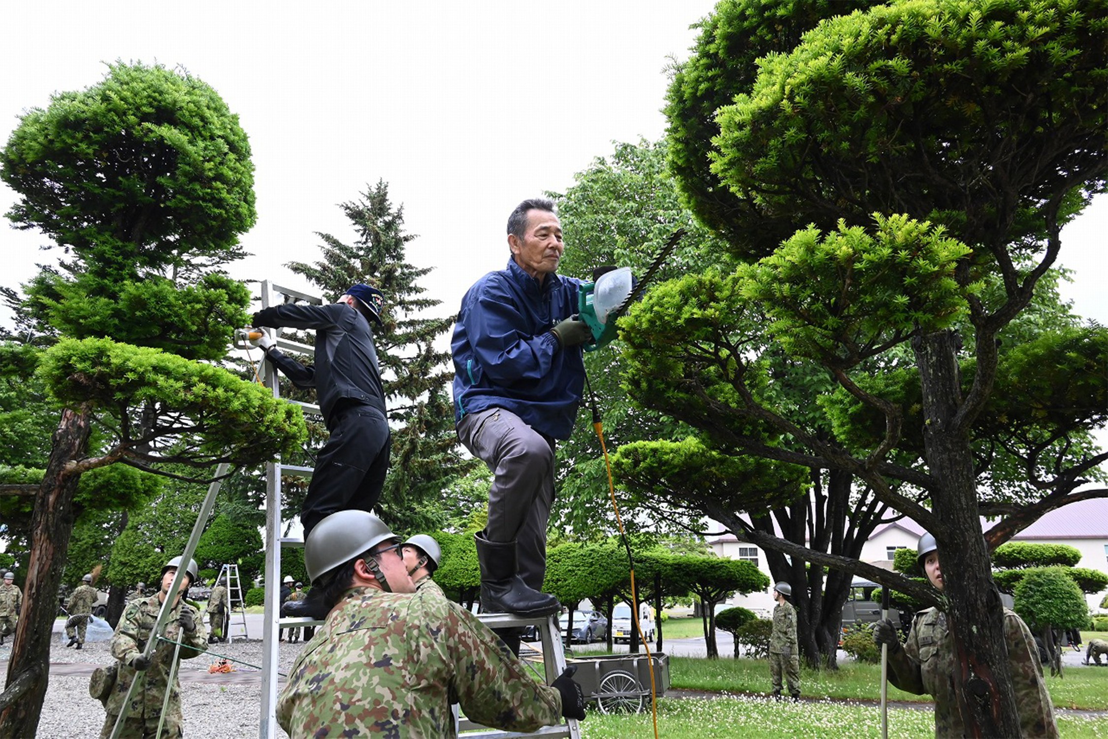 世代超え協力 駐屯地の樹木を美しく｜千歳駐屯地