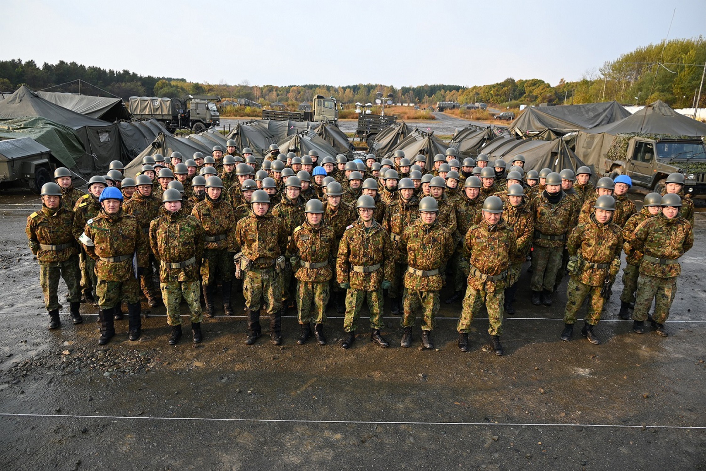 セクション画像