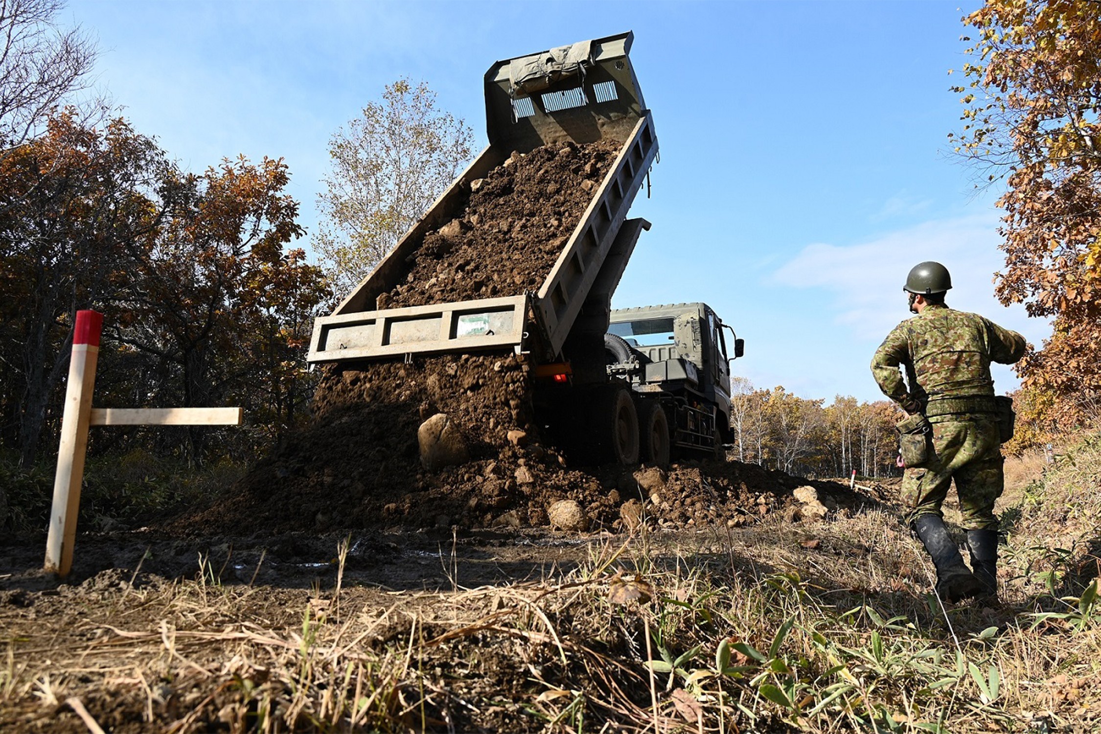 セクション画像