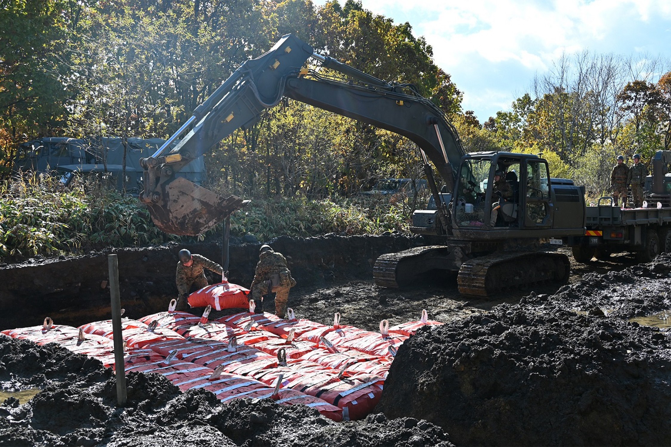 セクション画像