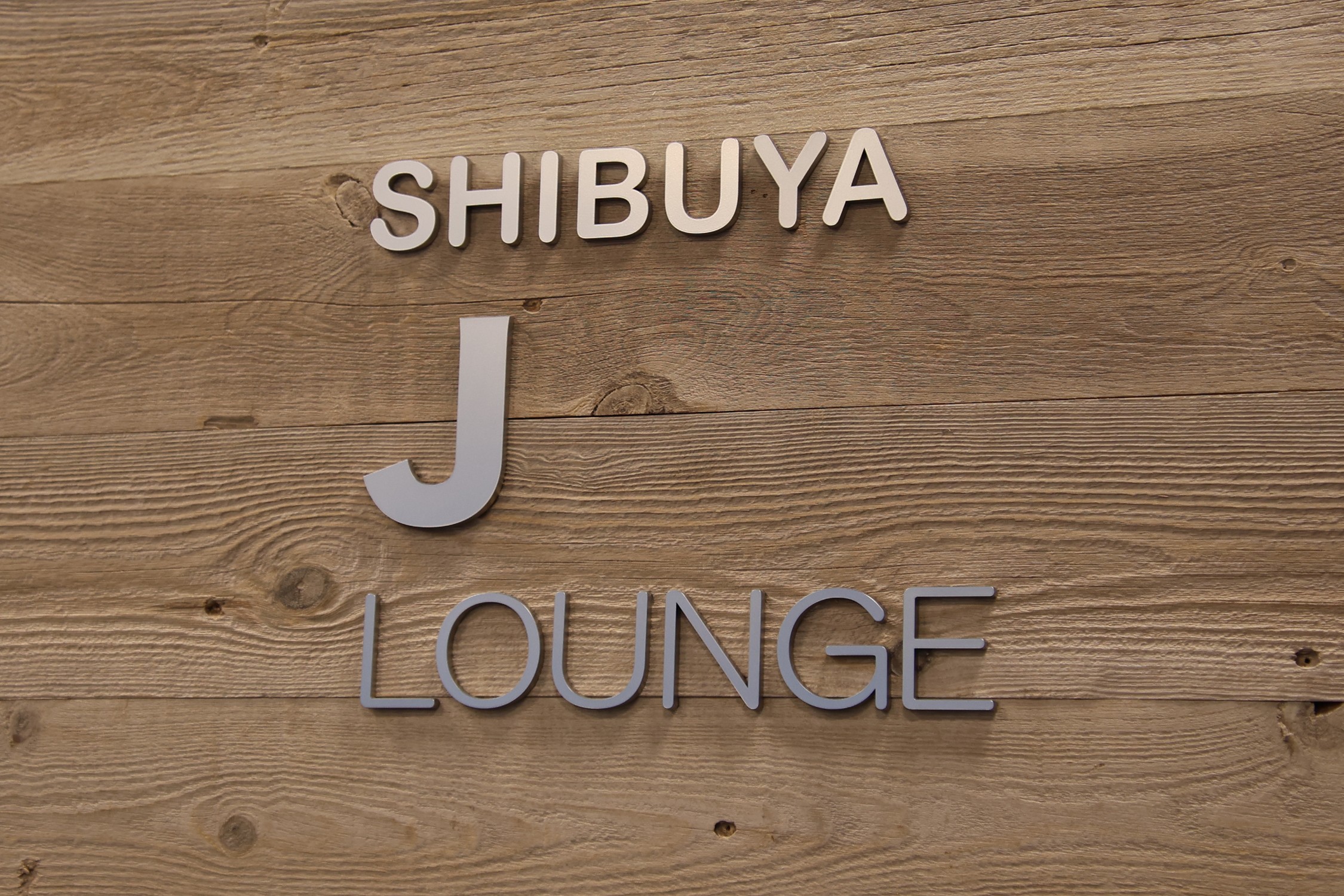 セクション画像