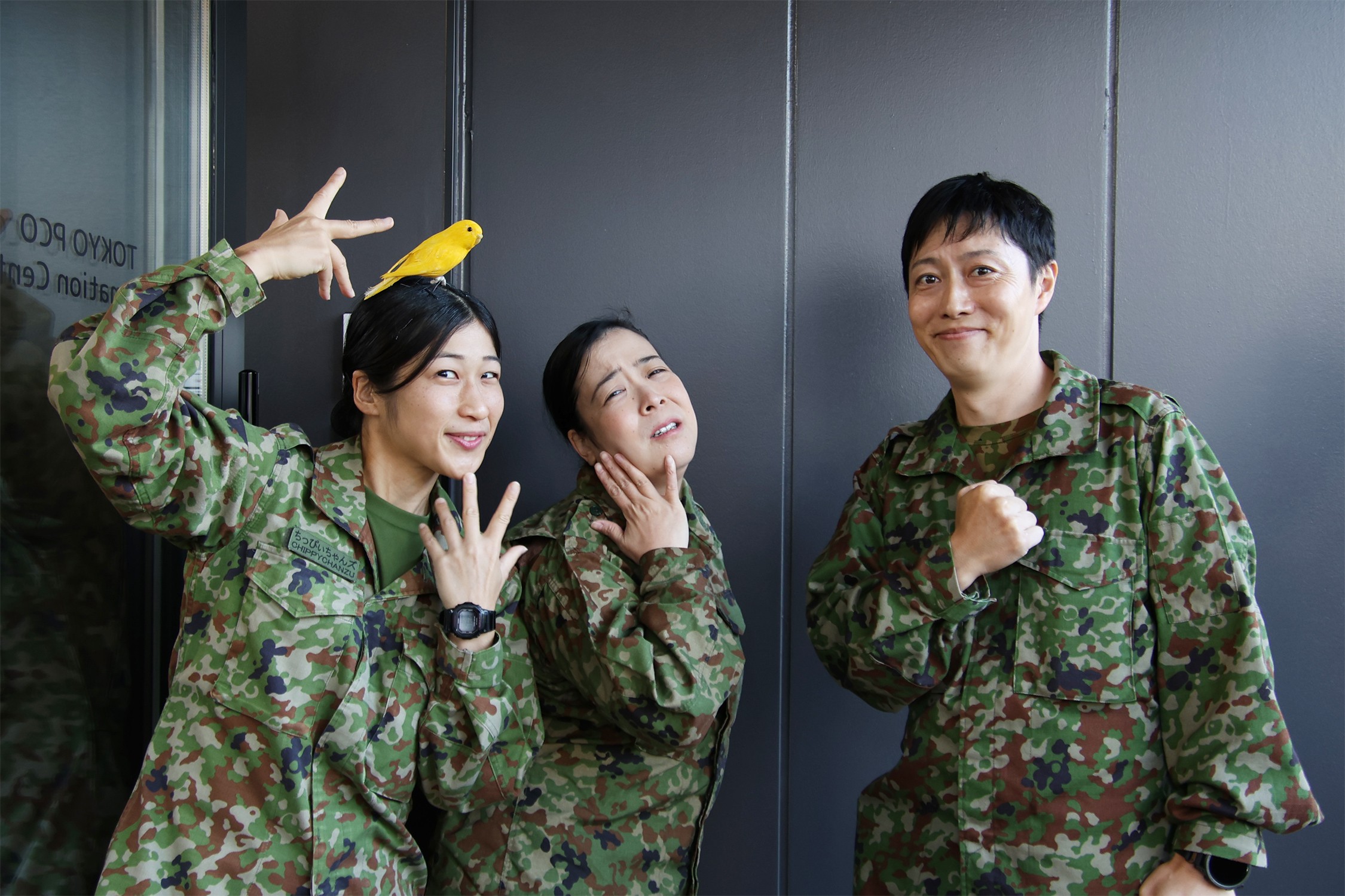 セクション画像