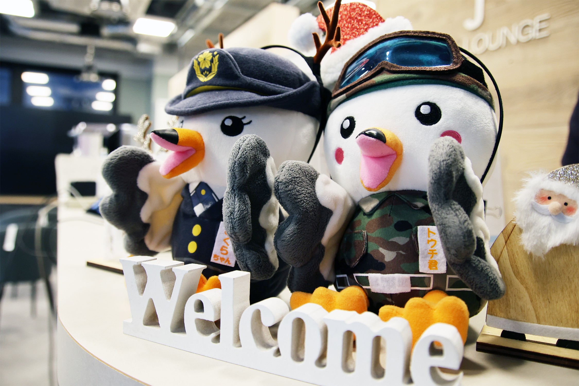 セクション画像