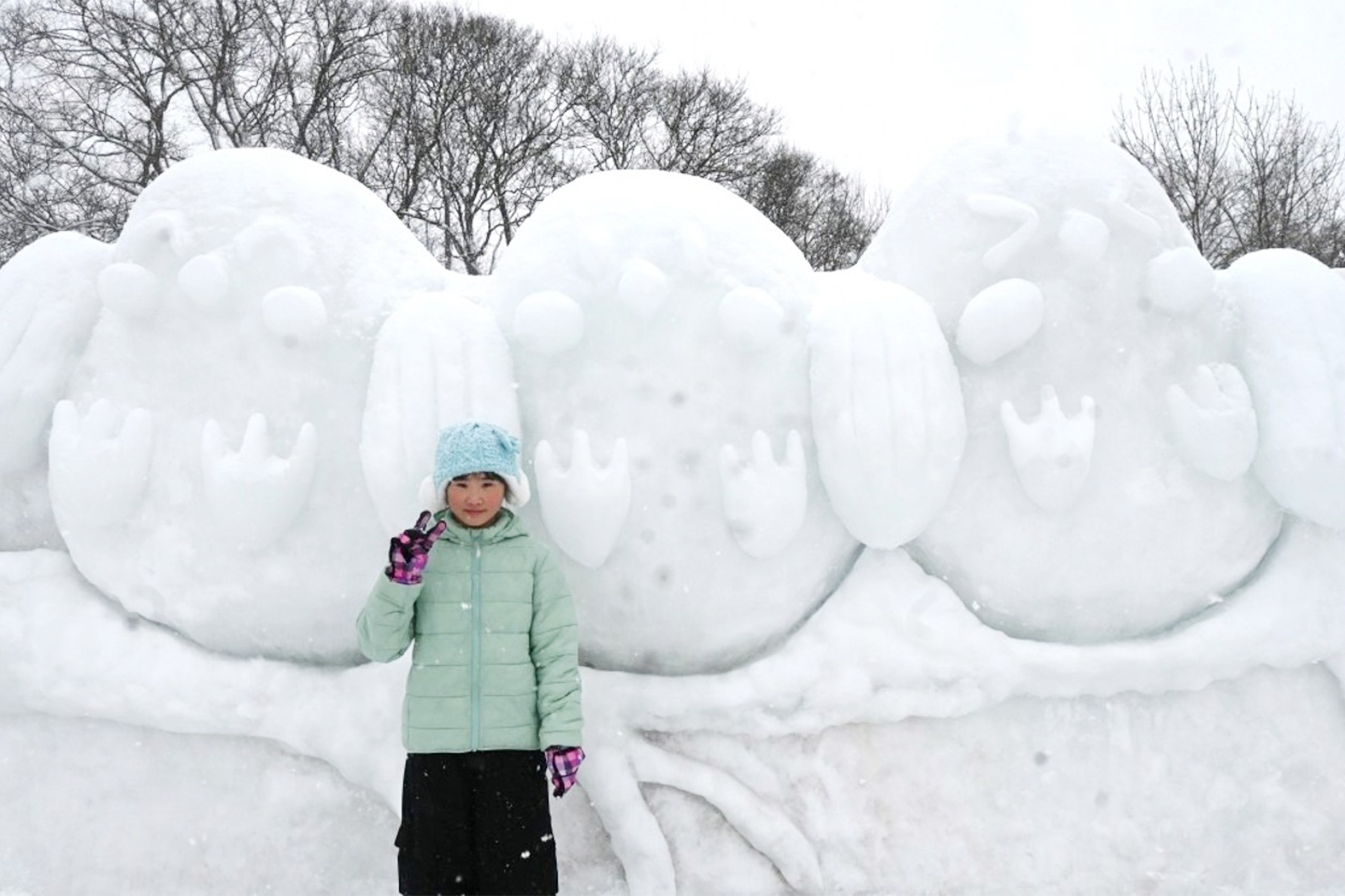 セクション画像