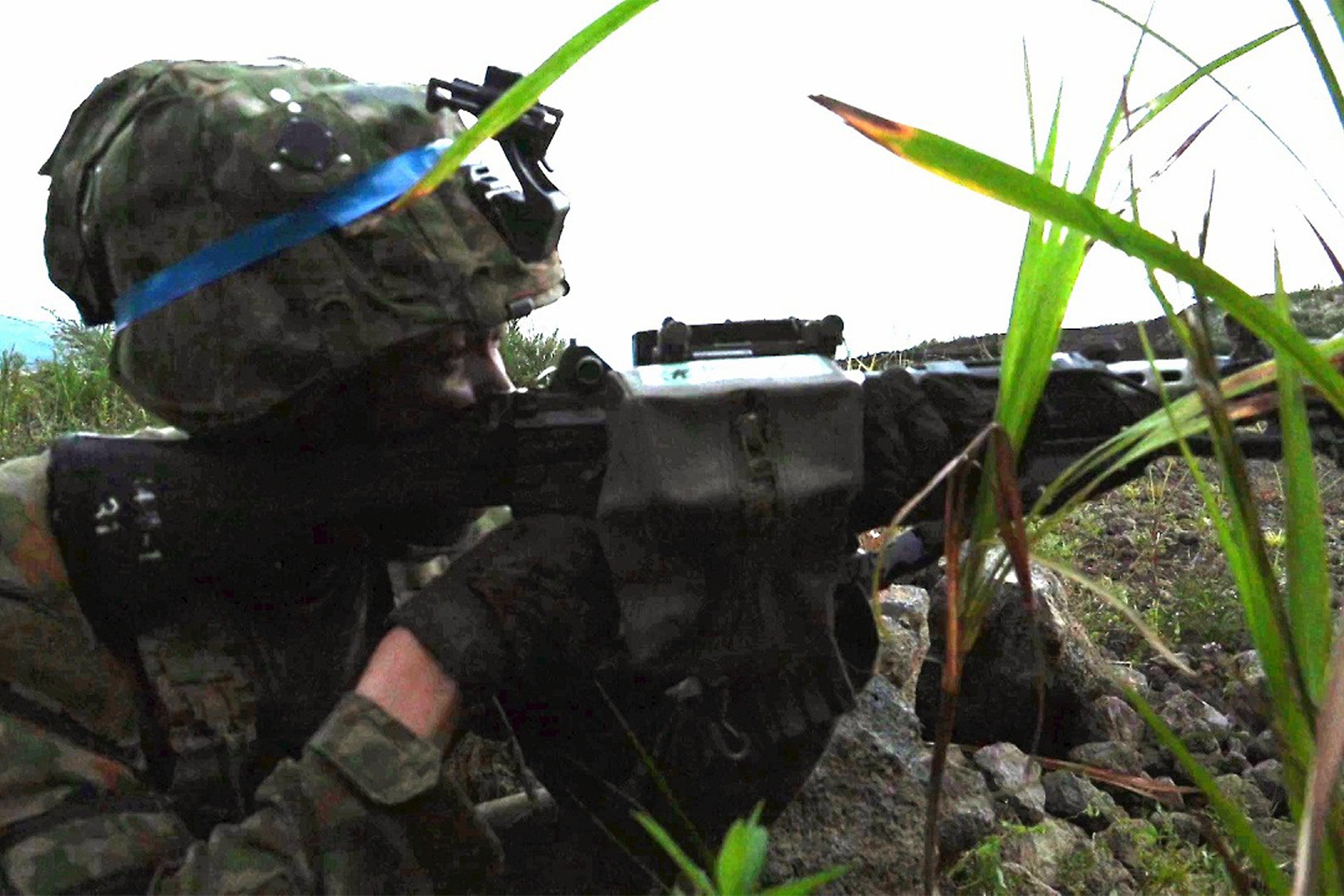 セクション画像