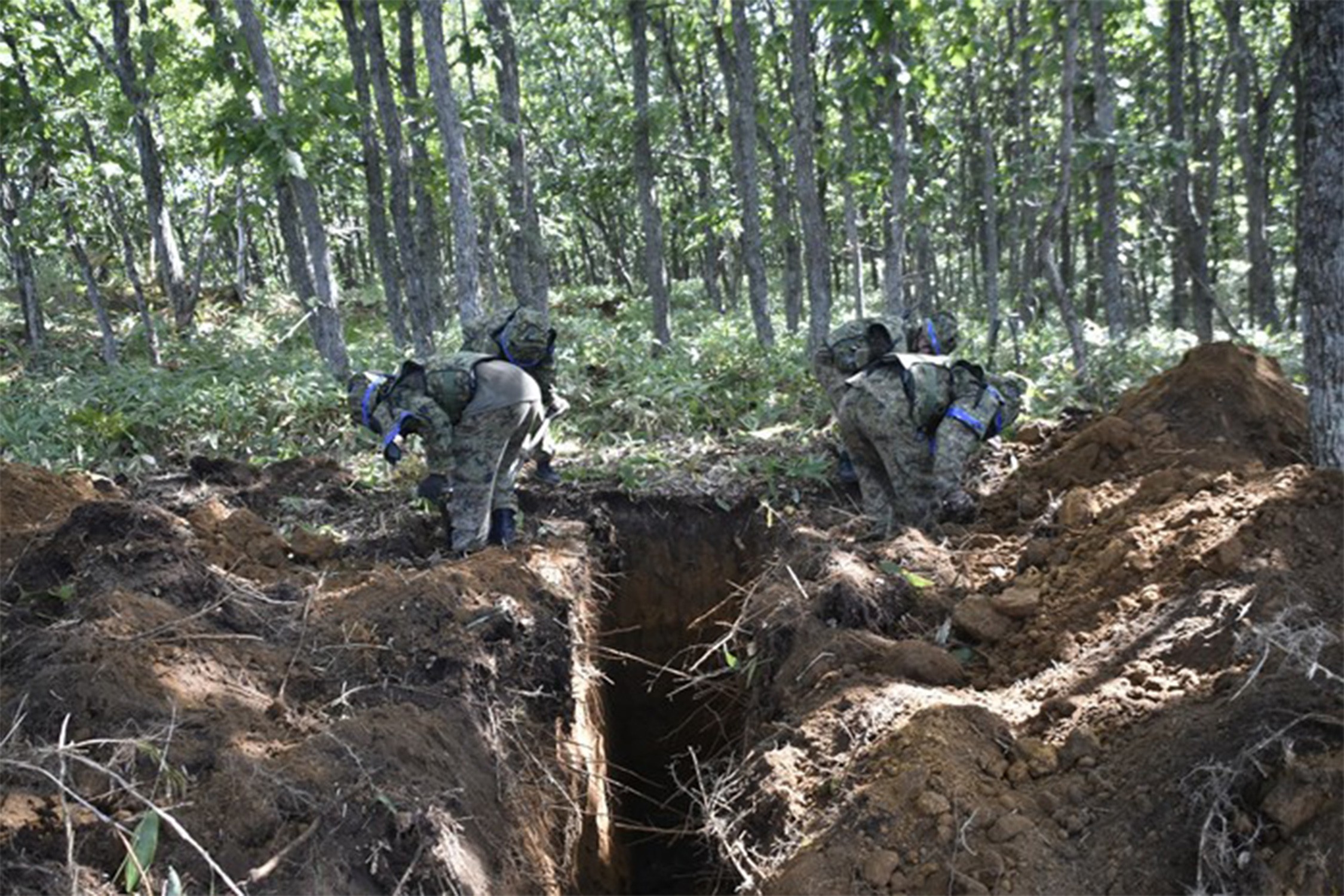 セクション画像