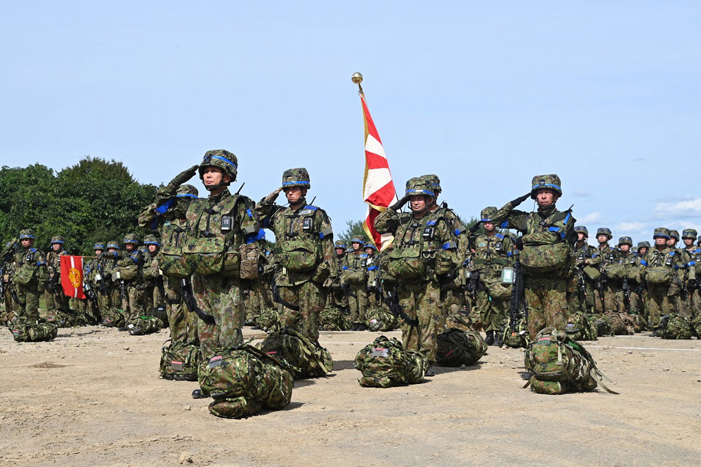 セクション画像