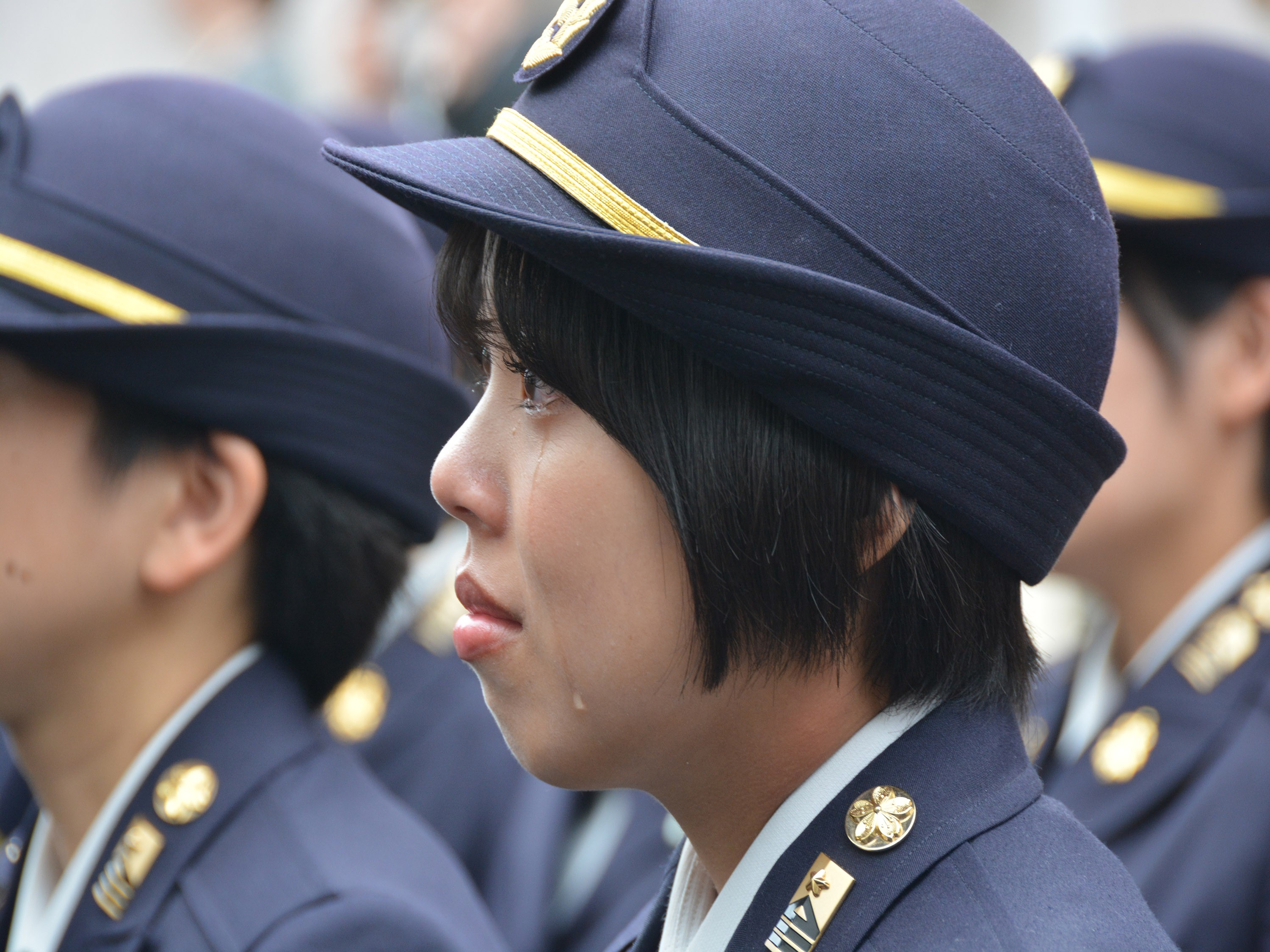 セクション画像