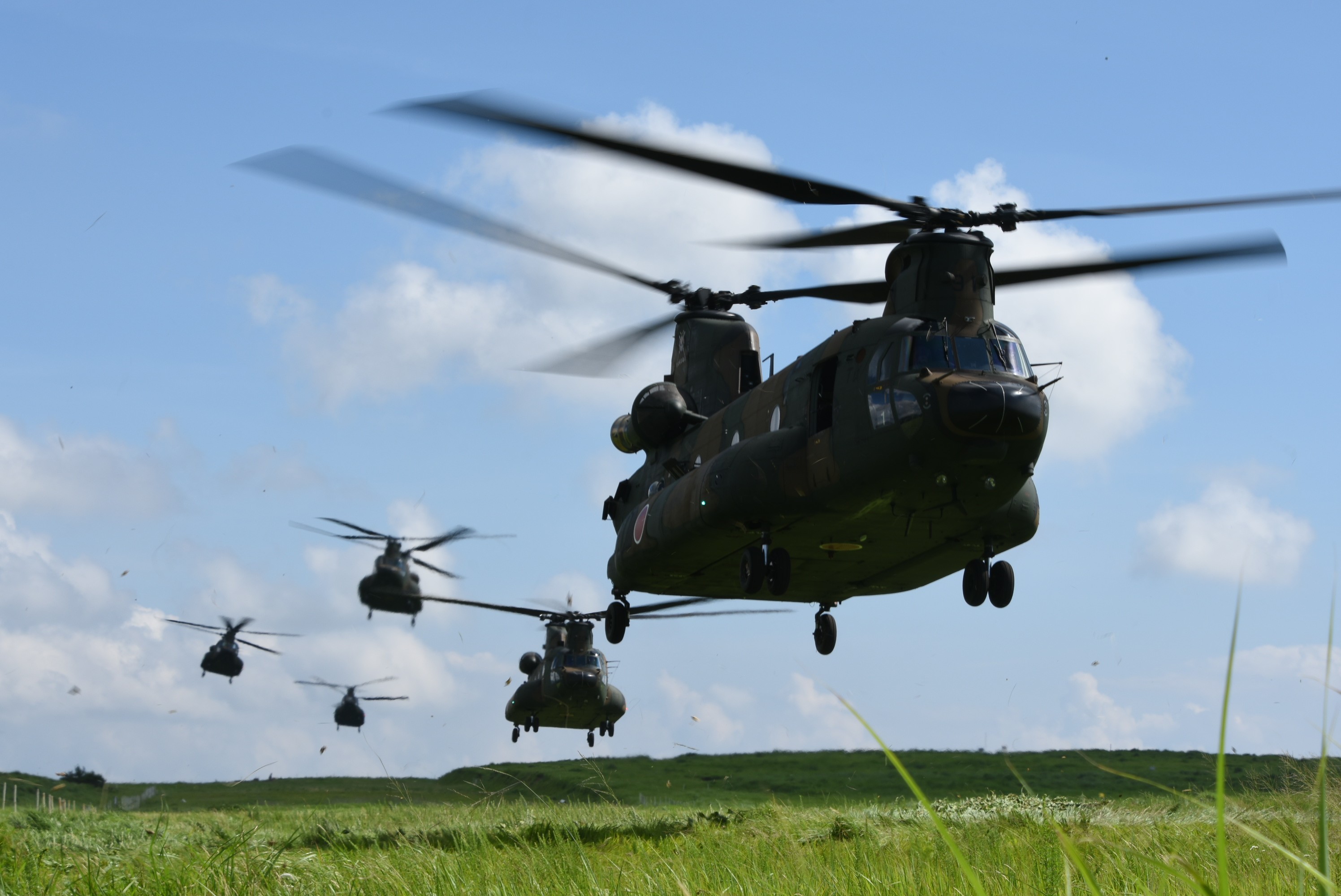 セクション画像