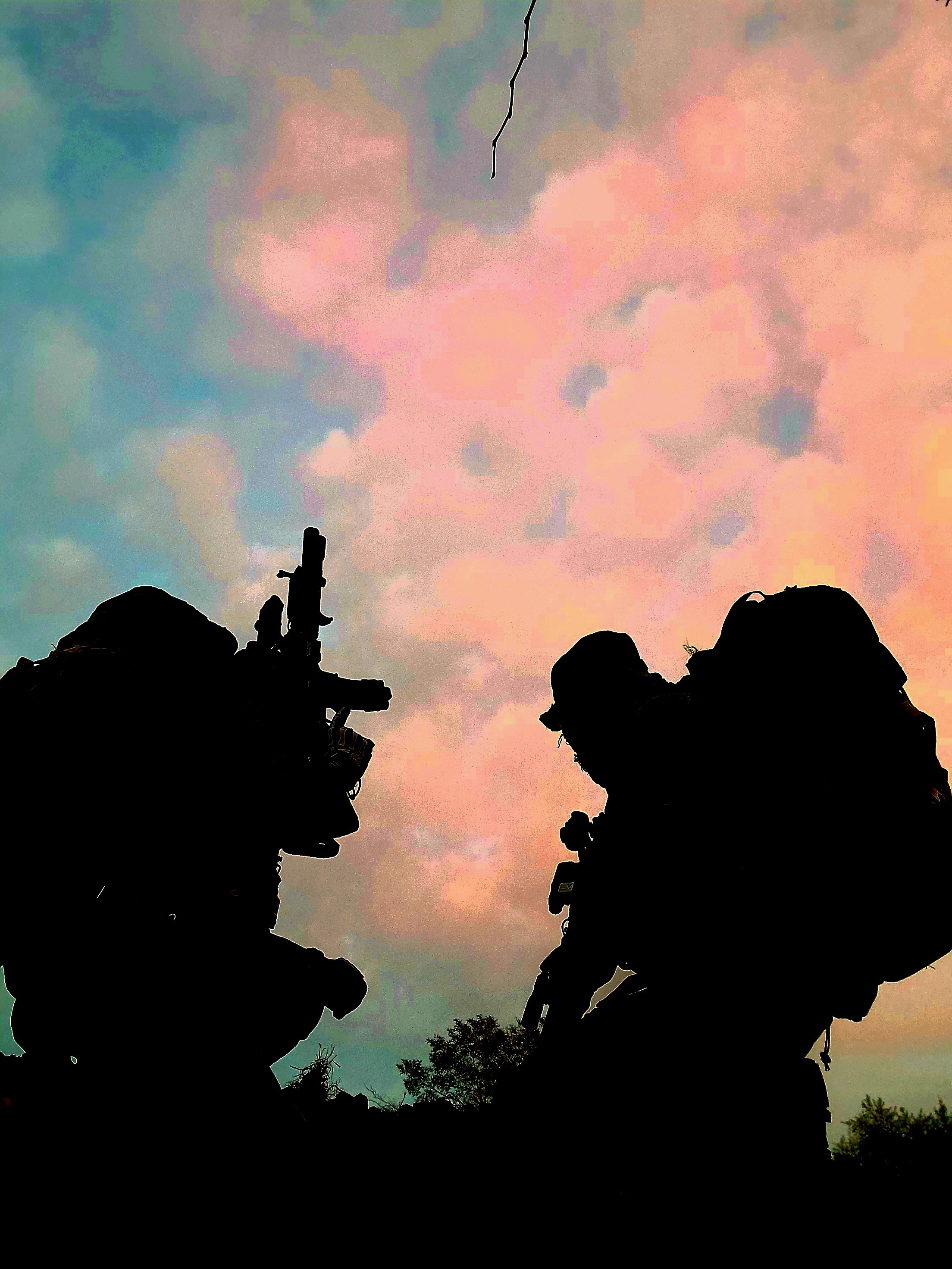 セクション画像