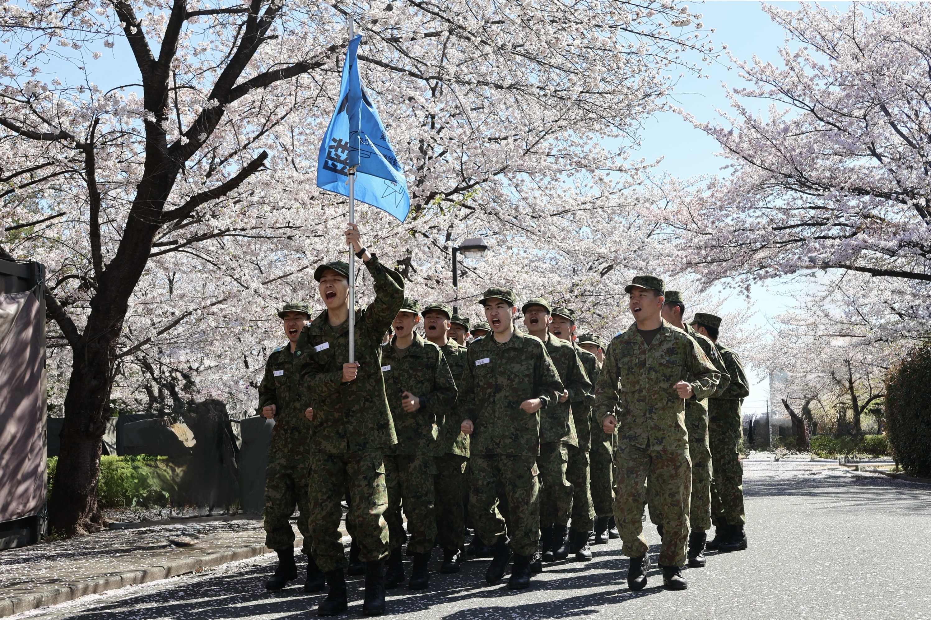 セクション画像