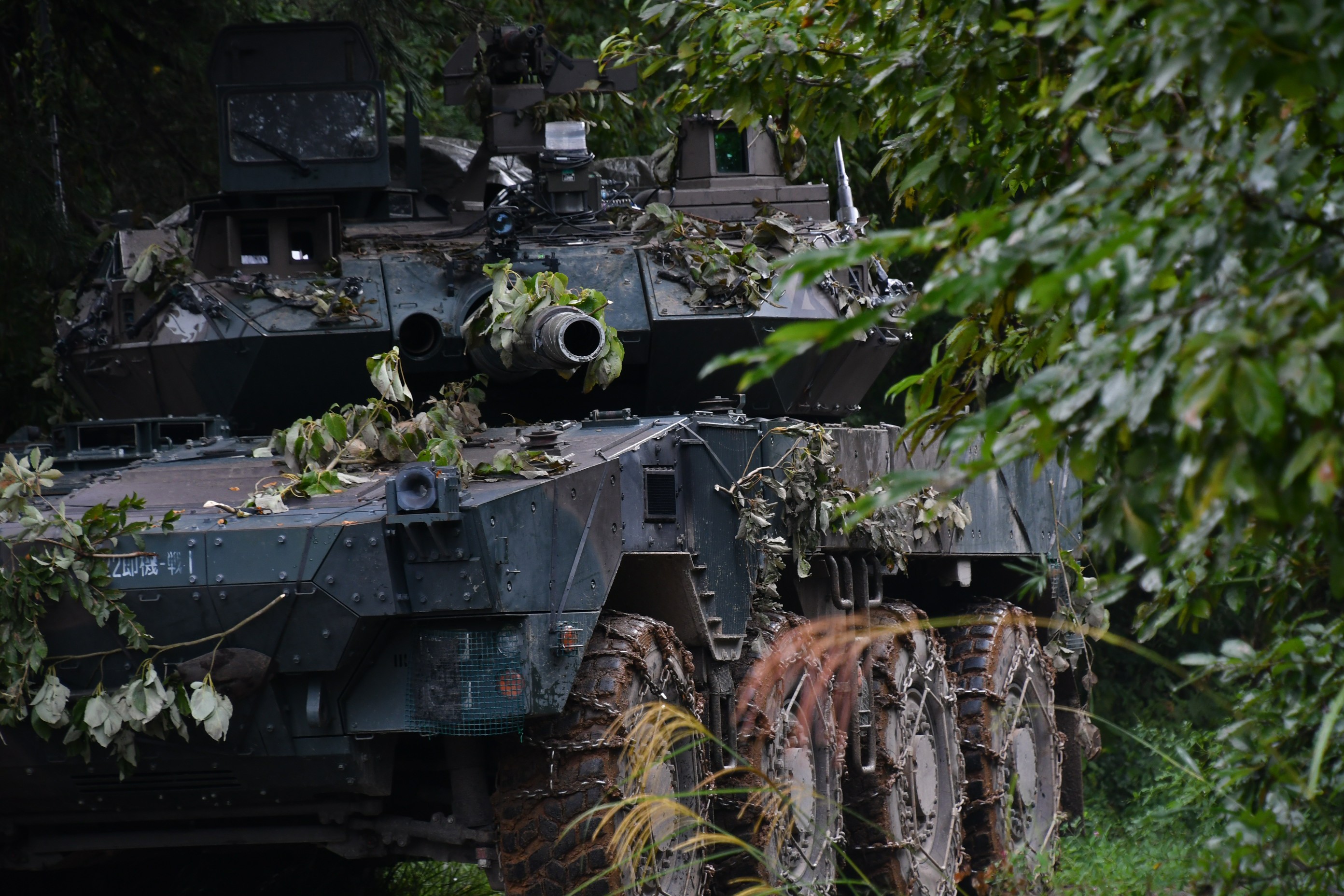 セクション画像