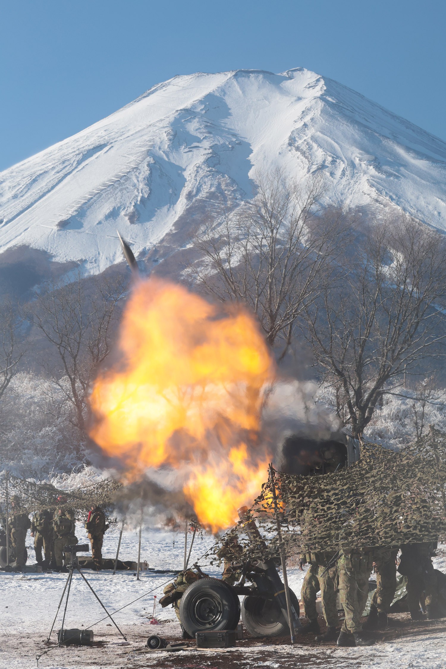 セクション画像
