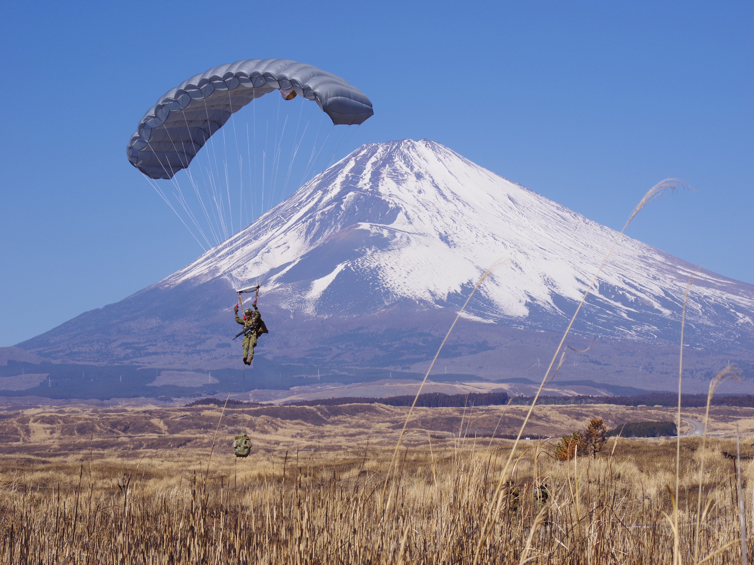 セクション画像