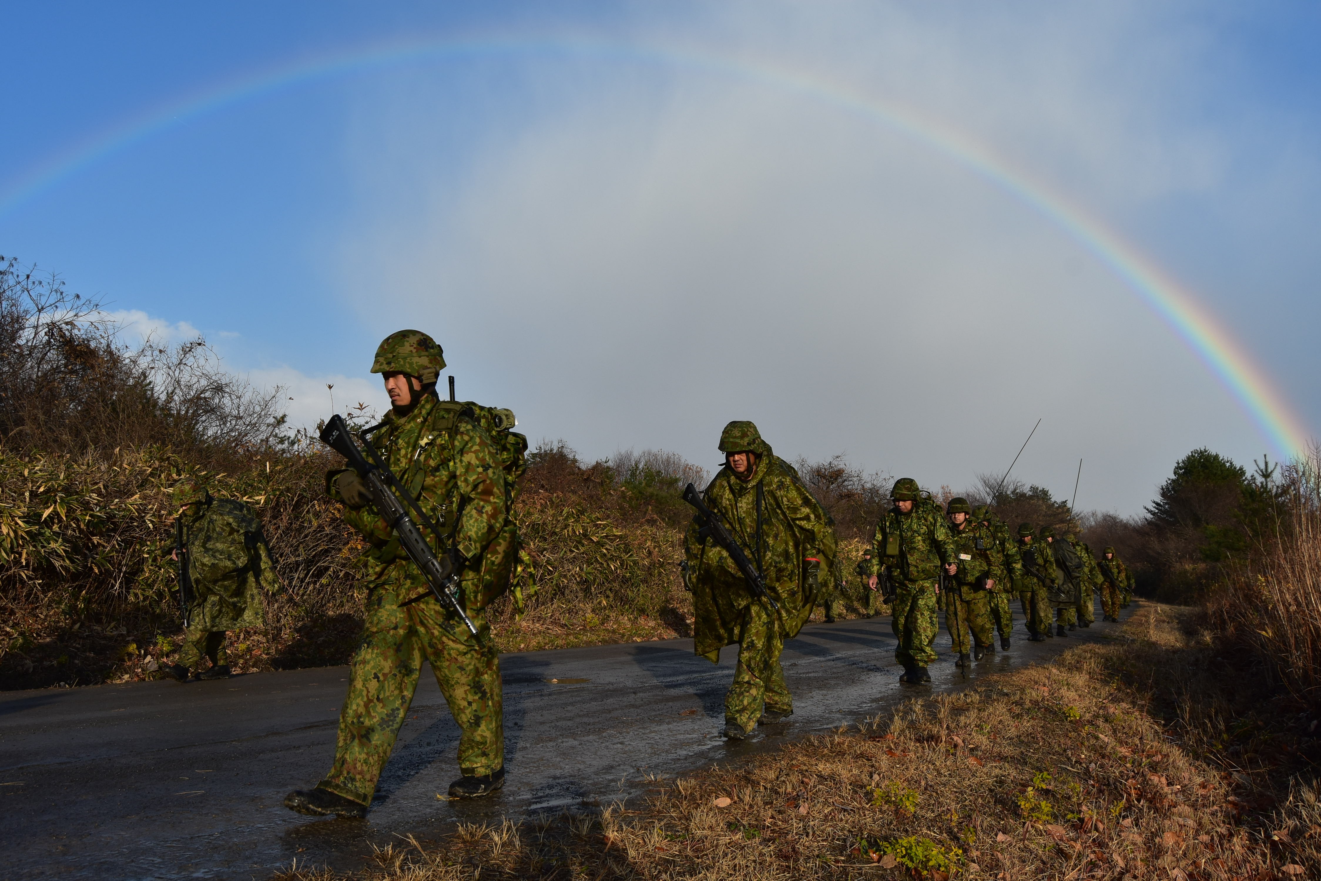 セクション画像