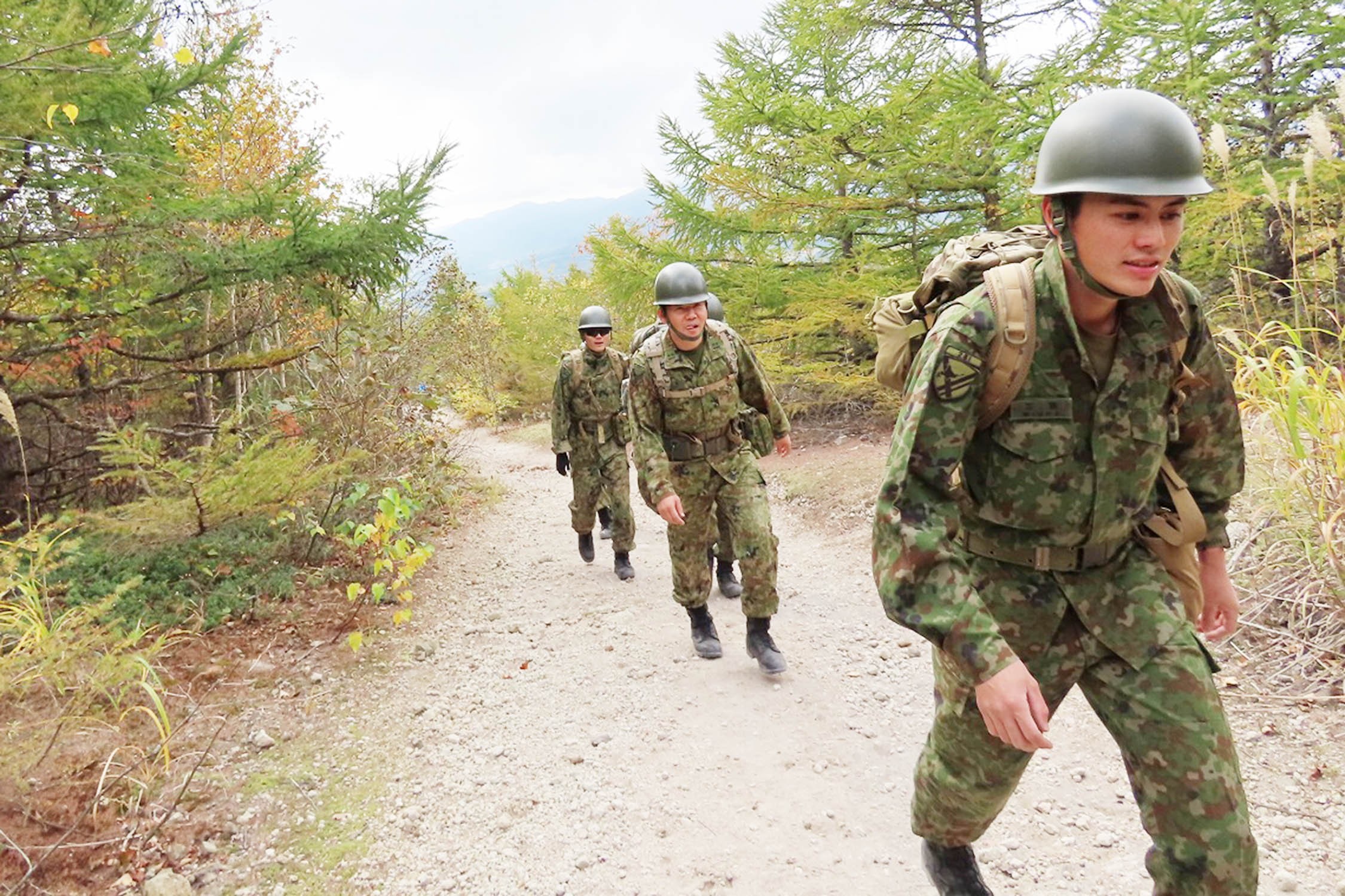 セクション画像