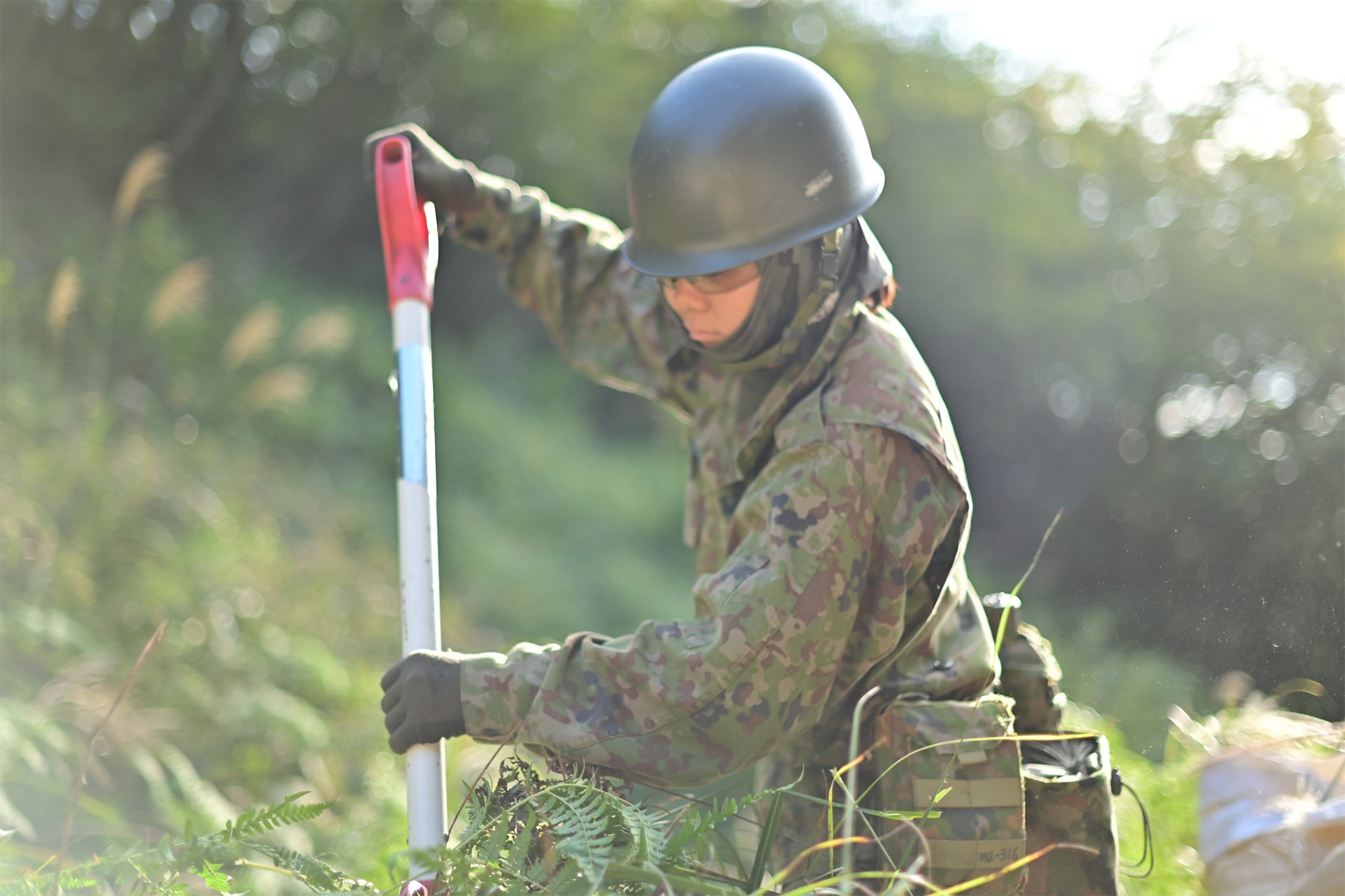 セクション画像