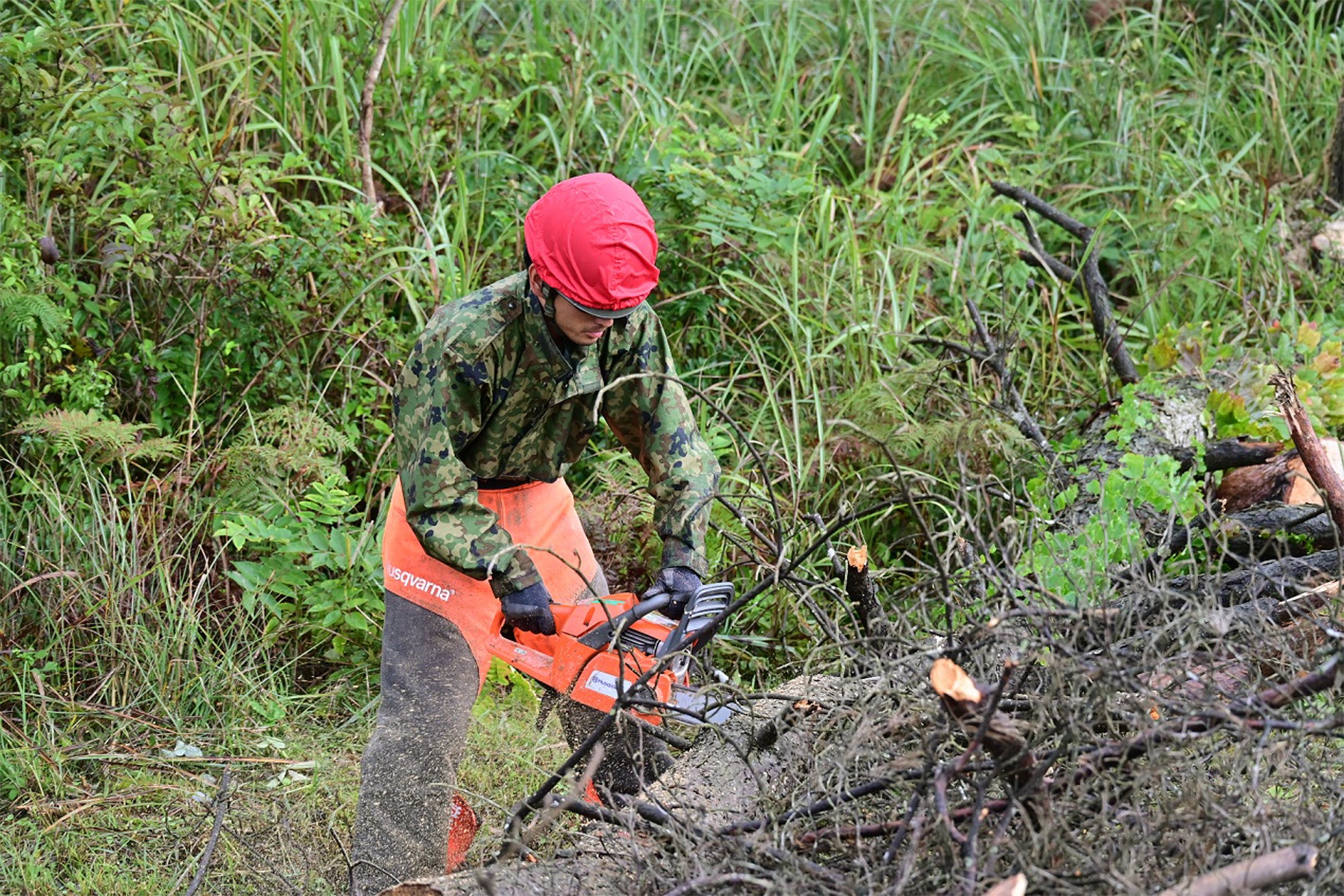 セクション画像