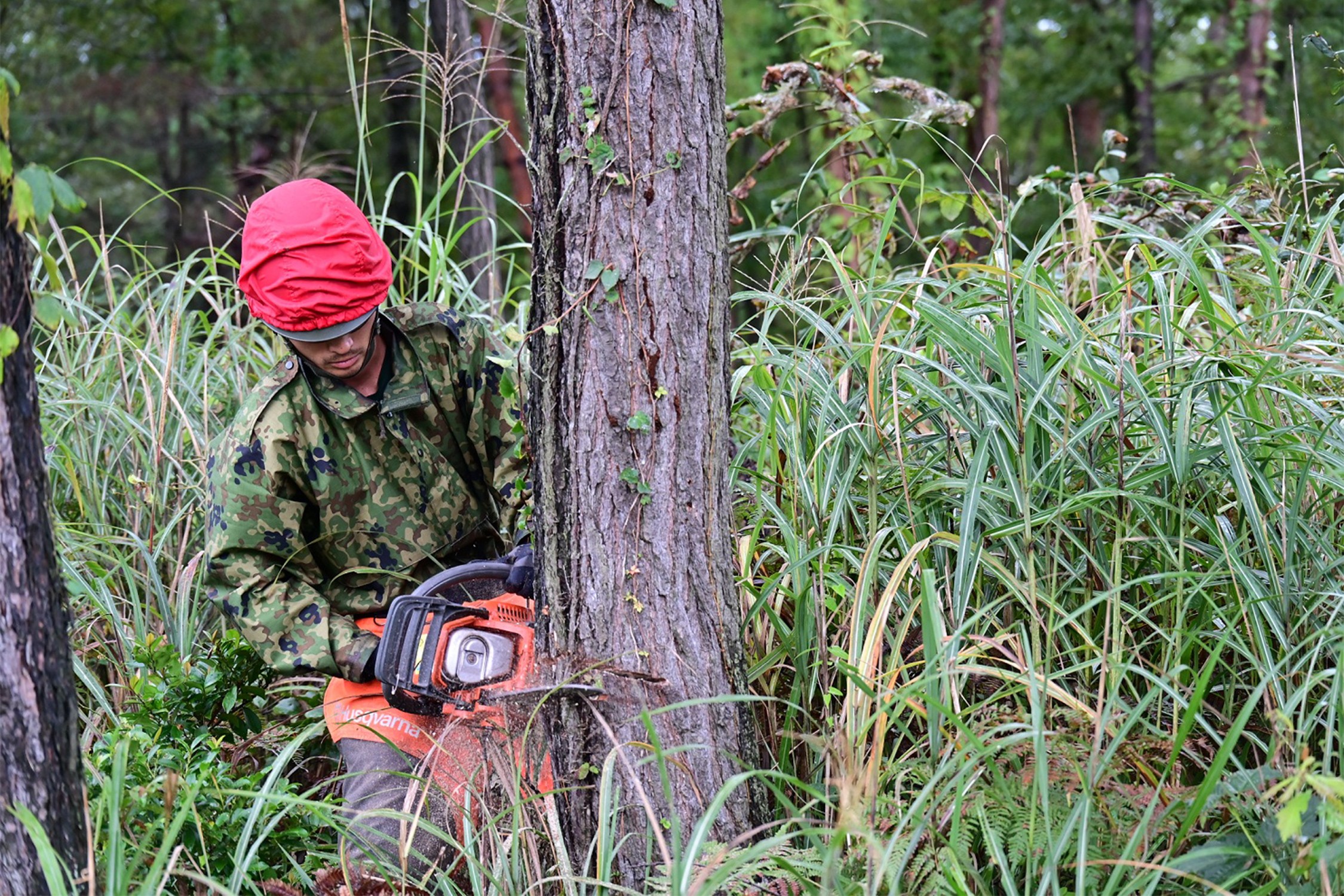セクション画像