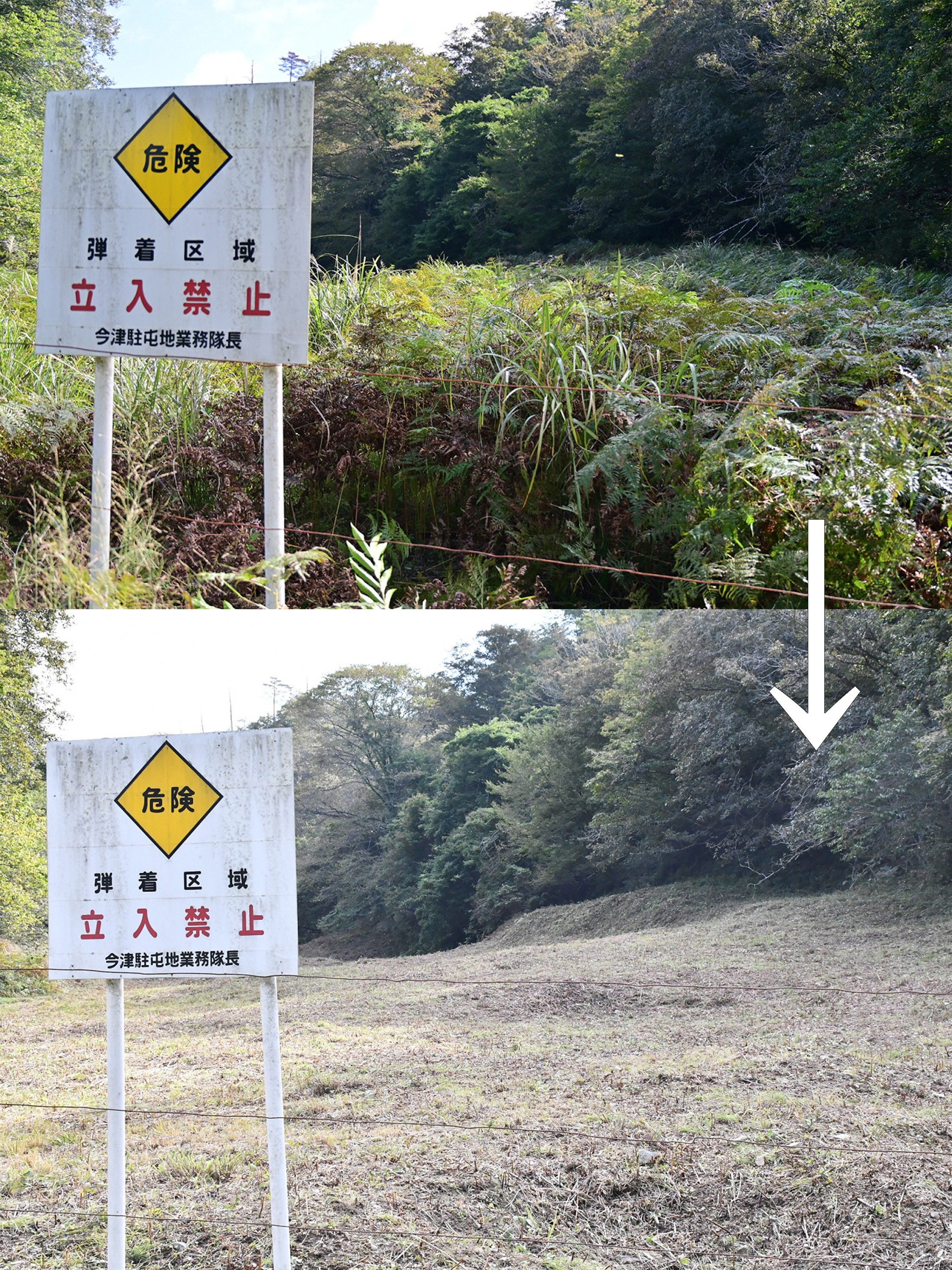 セクション画像