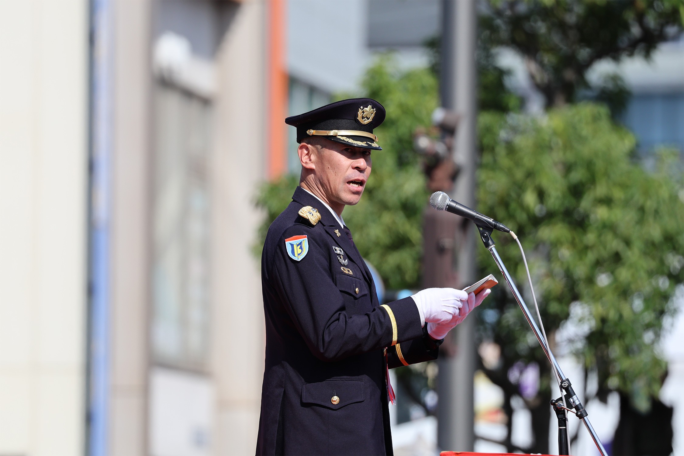 セクション画像