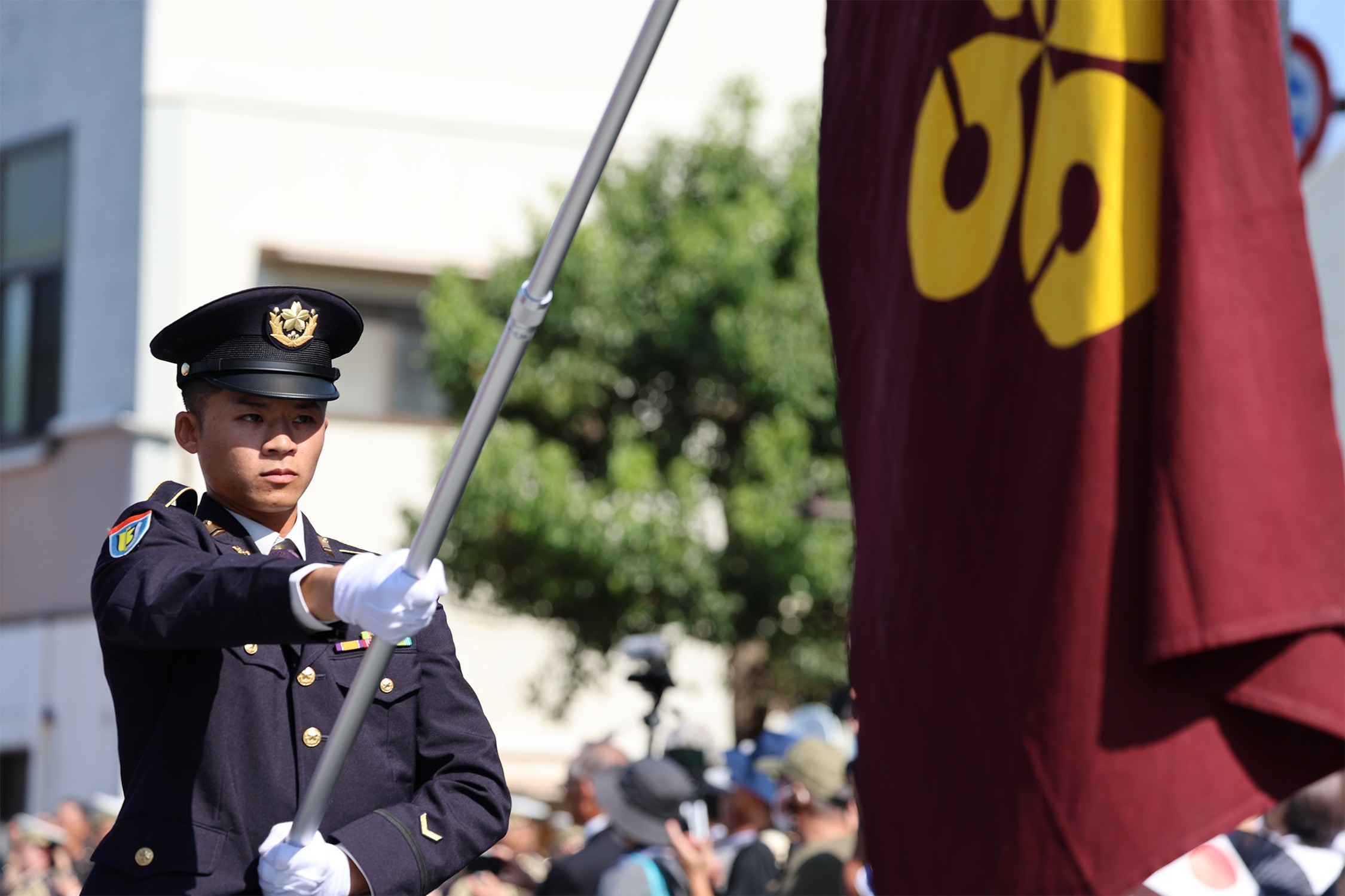 セクション画像