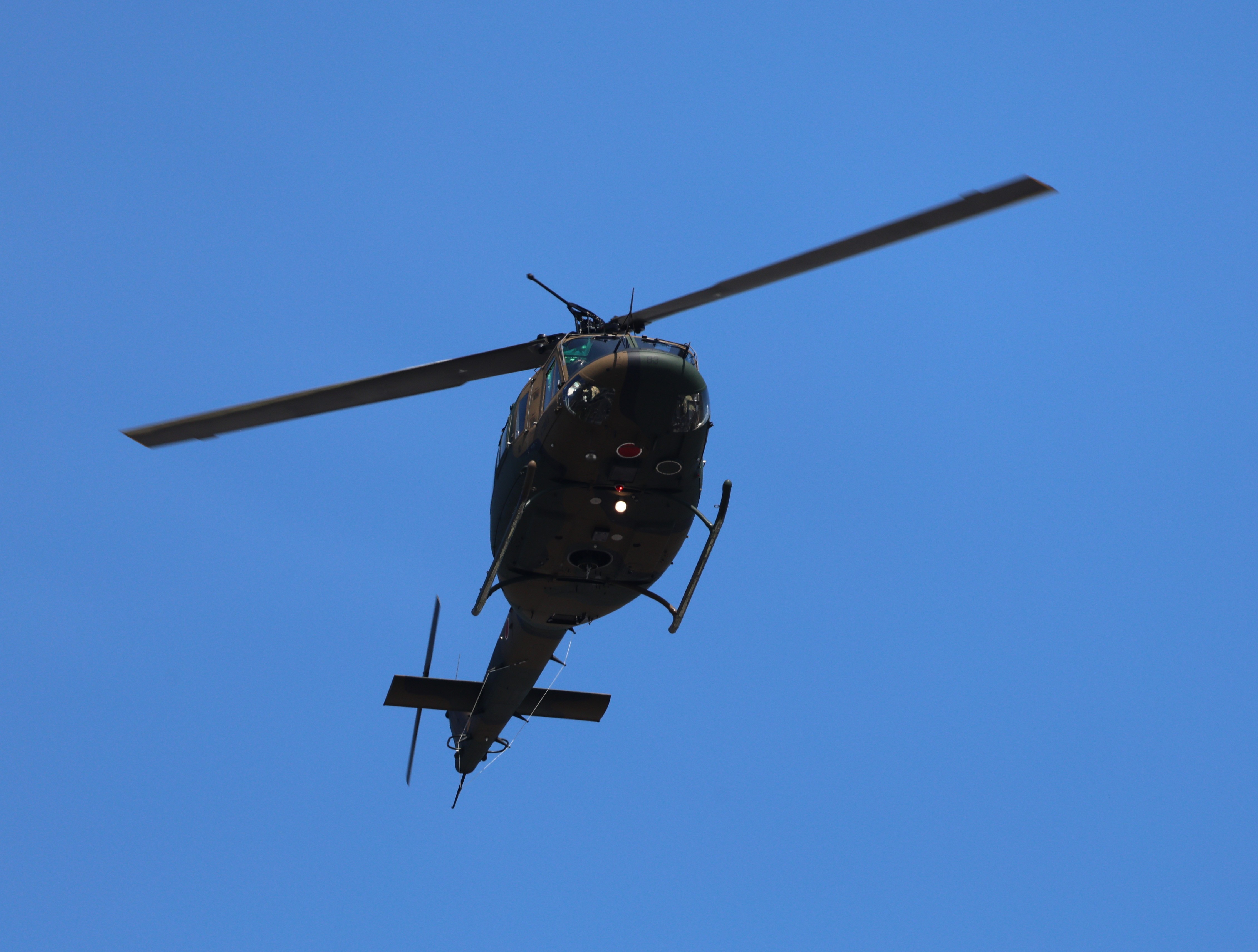 セクション画像