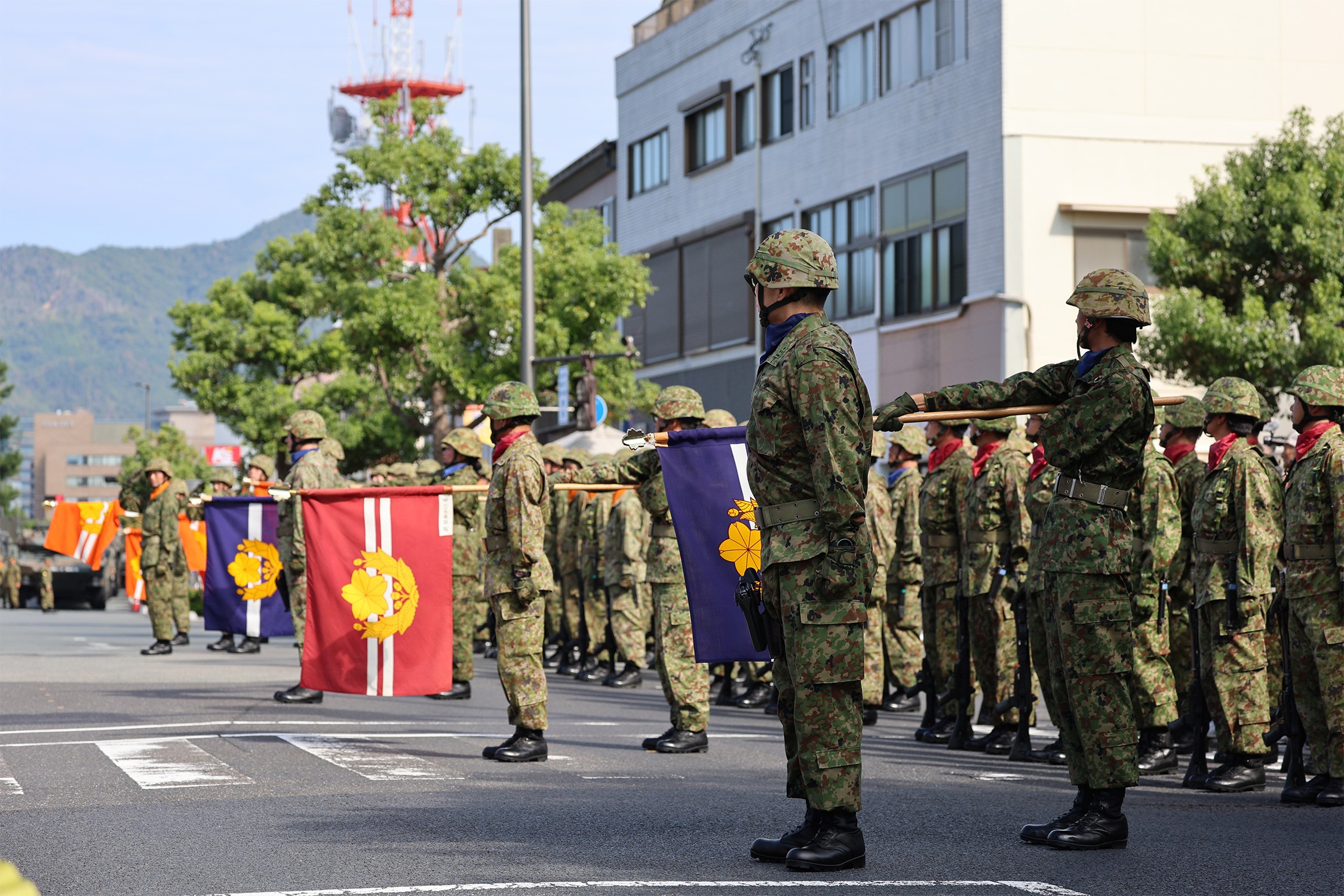 セクション画像