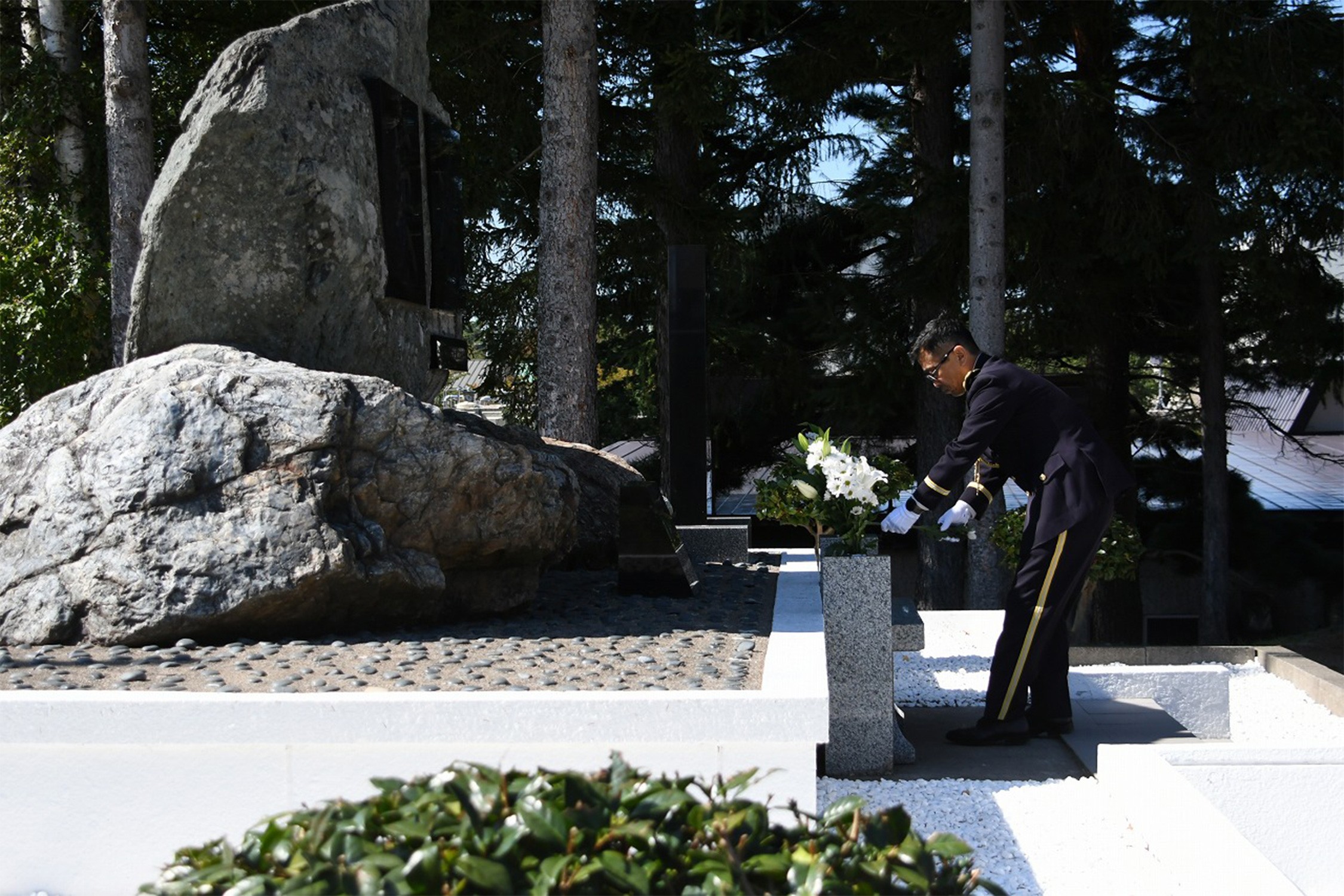 セクション画像