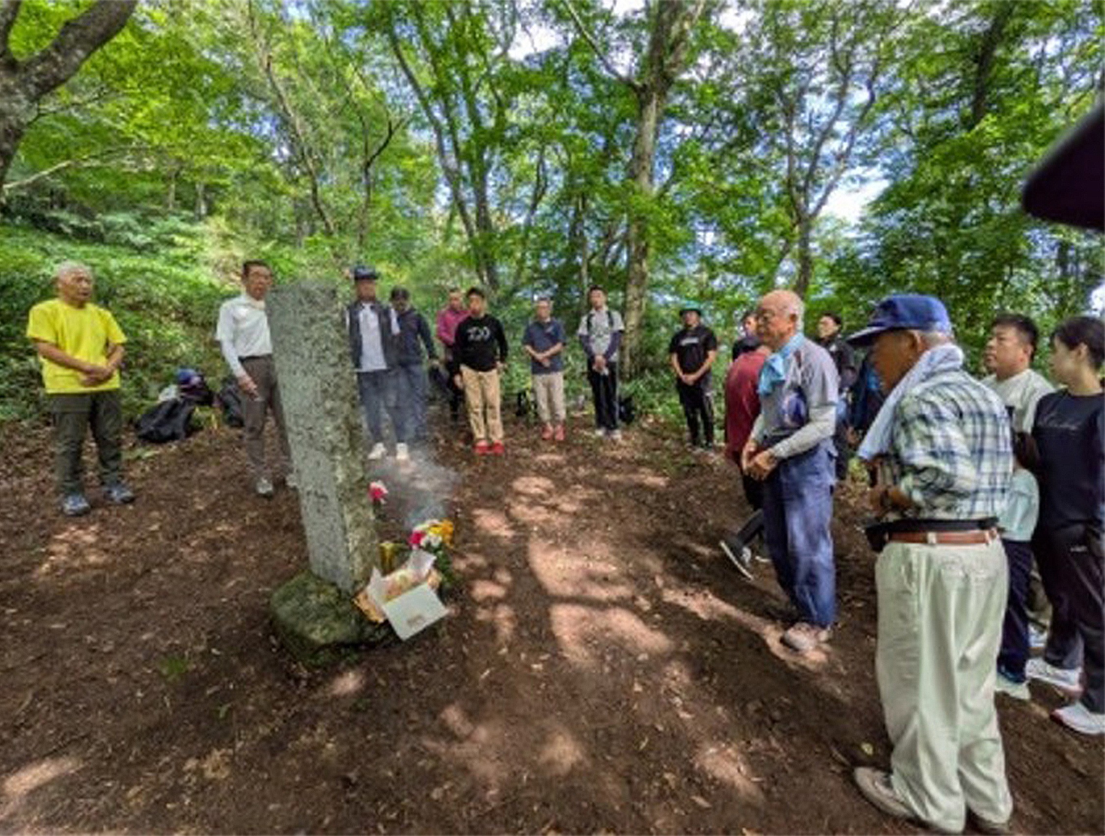 セクション画像