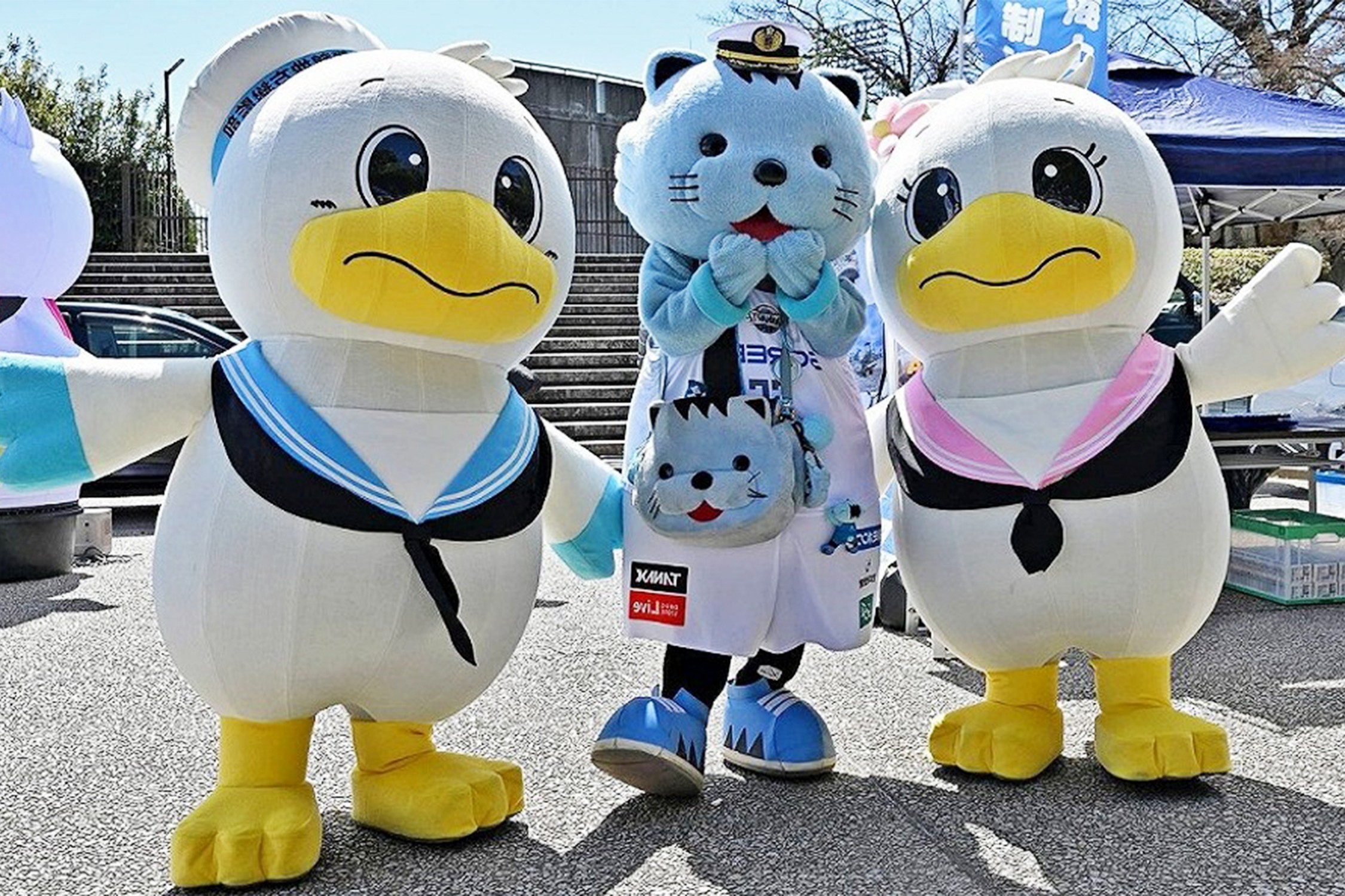 <span class='paid-label'>[会員限定]</span> バスケ会場で広報活動実施 音楽隊とブースで関心集める｜京都地本