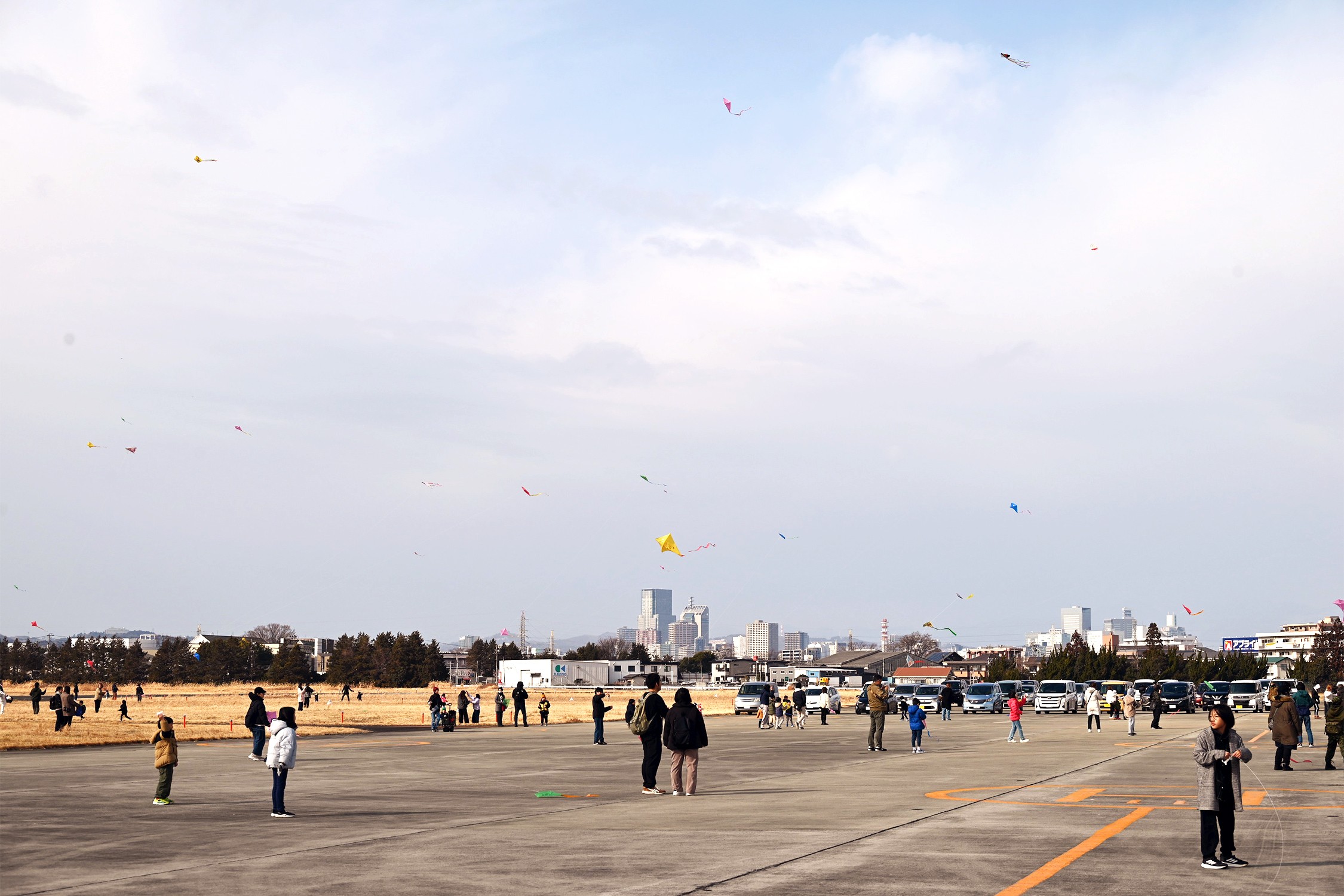 セクション画像