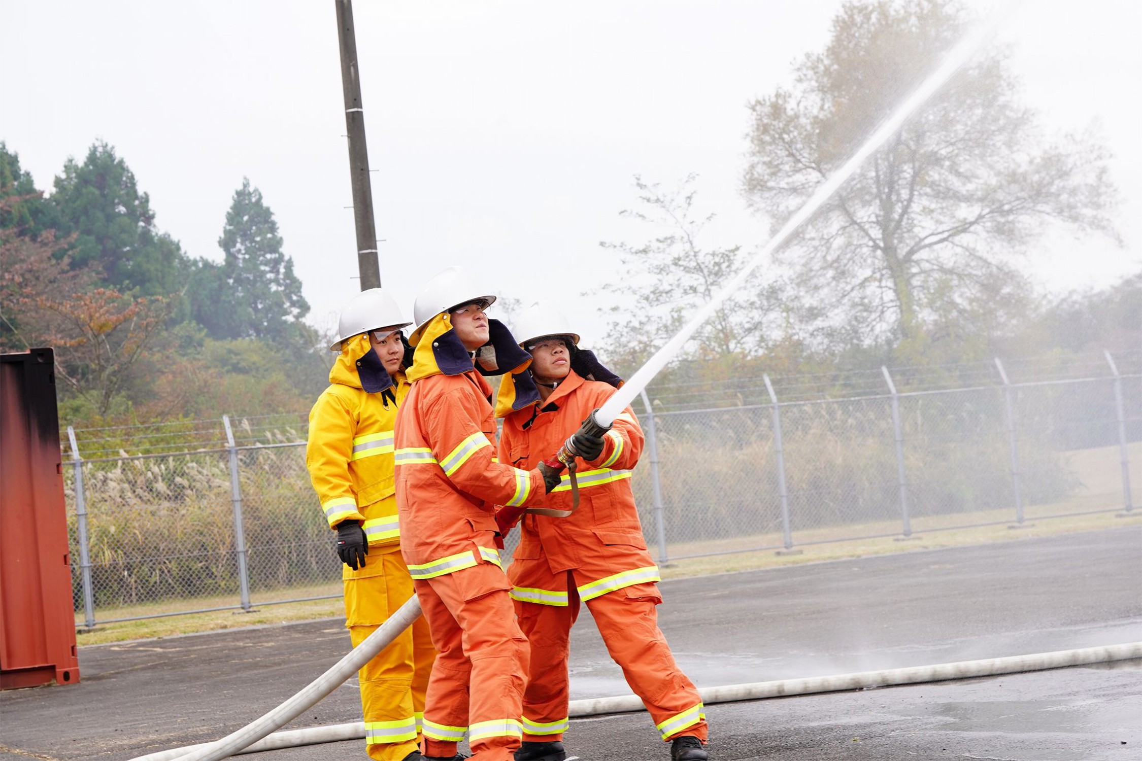 セクション画像